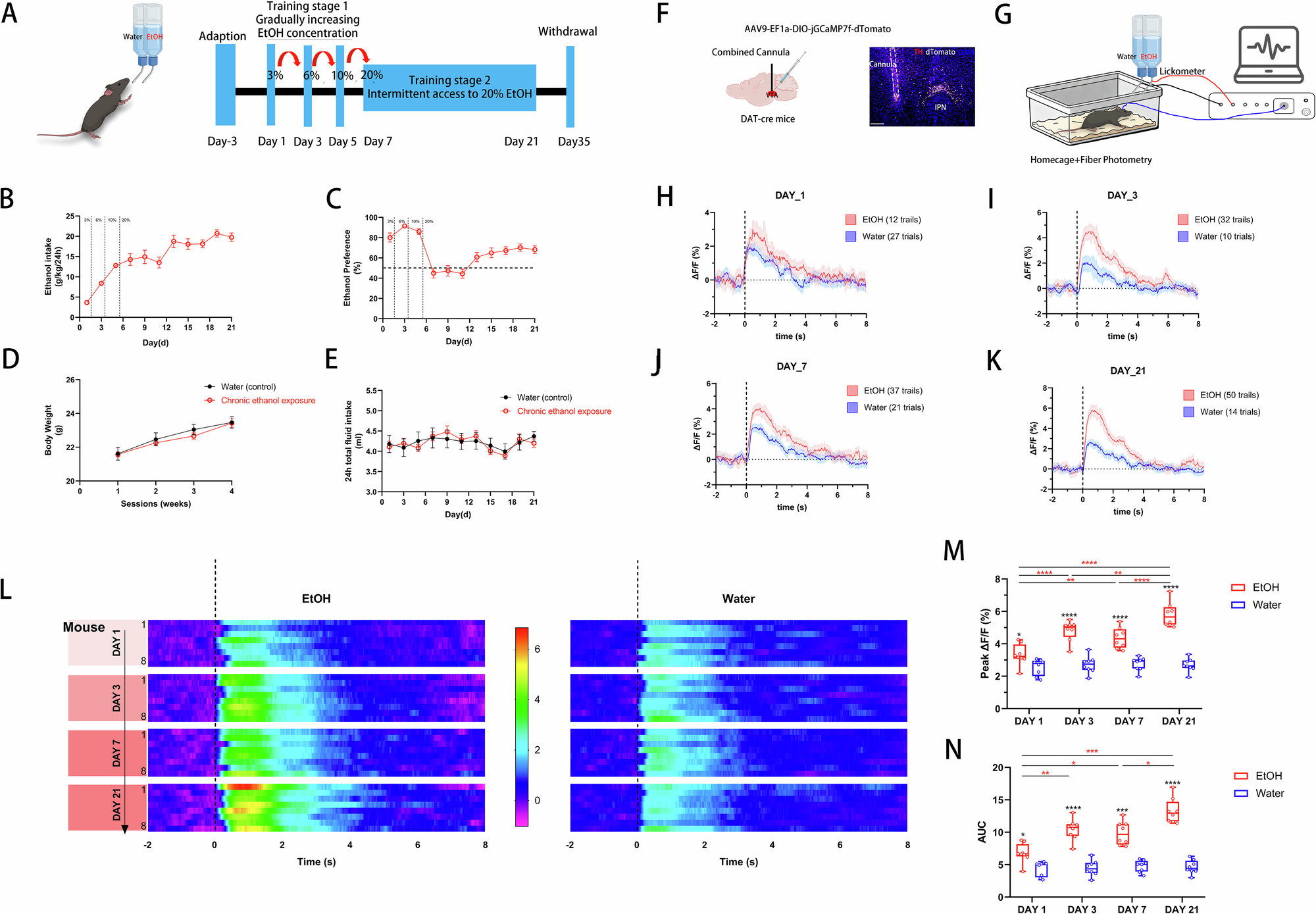 Fig. 1: Chronic Ethanol Exposure Dynamically Reshapes VTA DA Neuron Activity in Vivo.