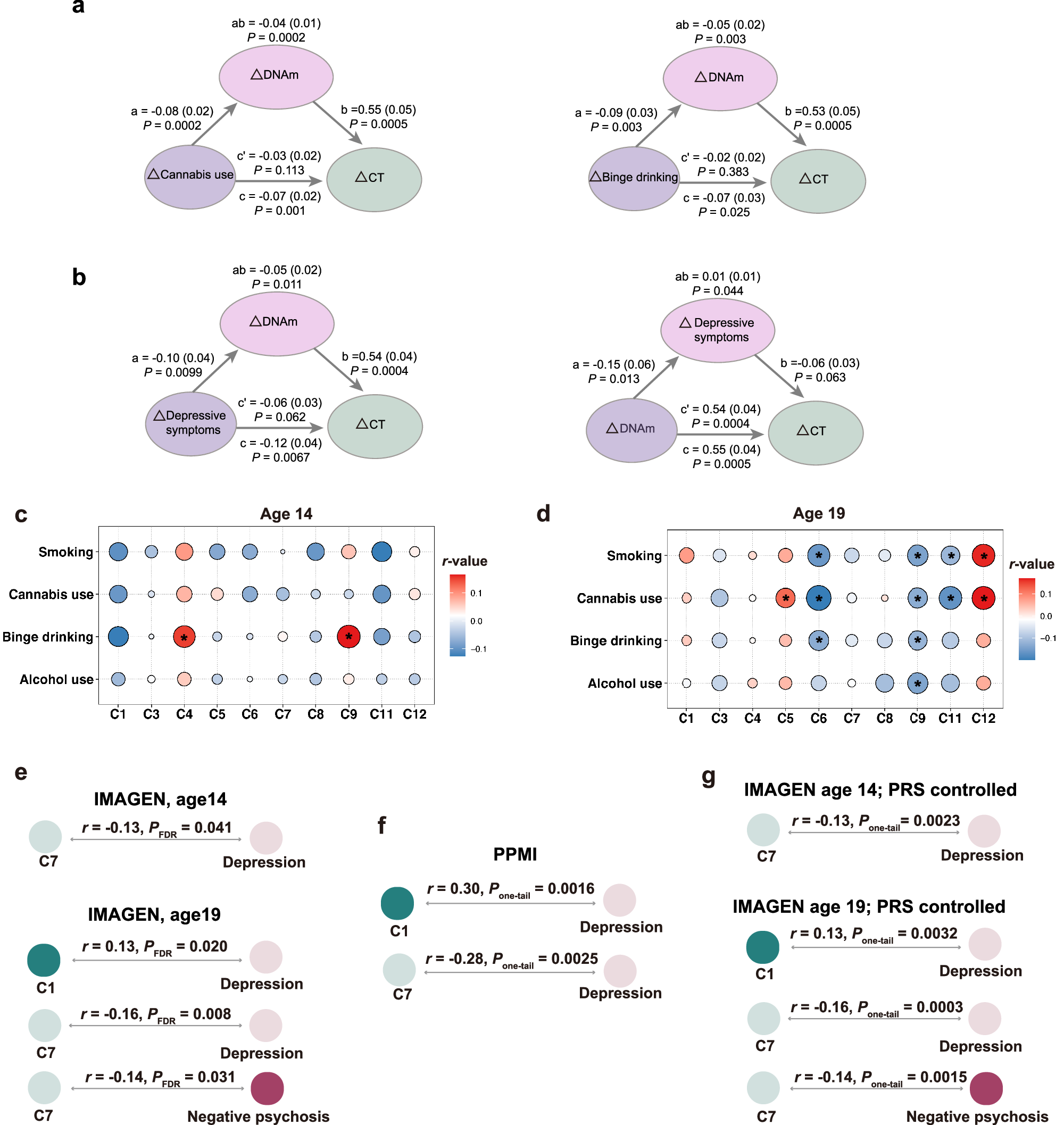 Fig. 5: Mediation models and cluster-specific DNAm associations with psychopathology.