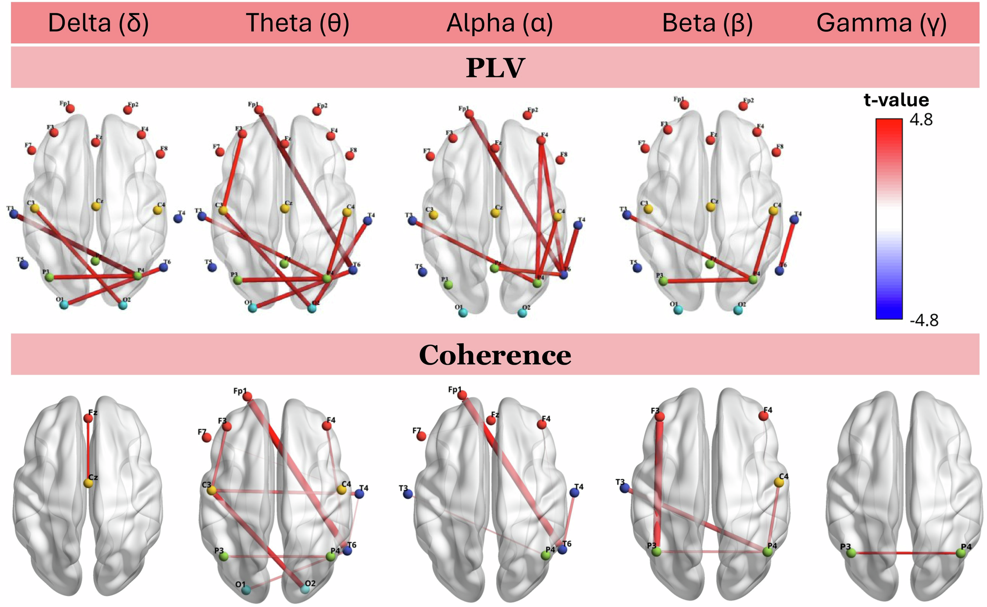 Fig. 4: Functional connectivity.