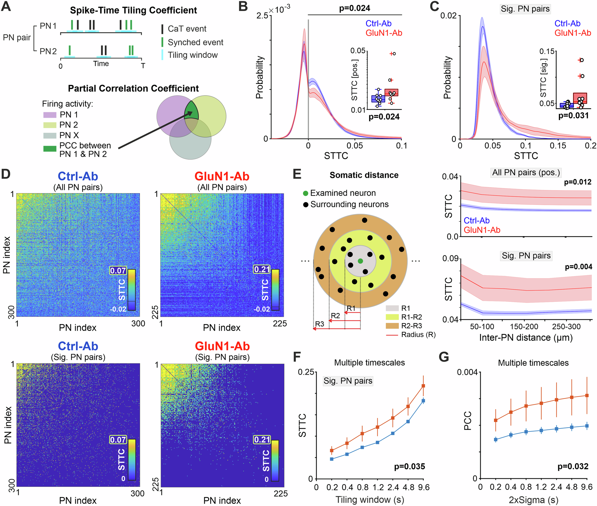 Fig. 2: GluN1-Ab induces intrinsic hypercoupling of CA1 PNs.