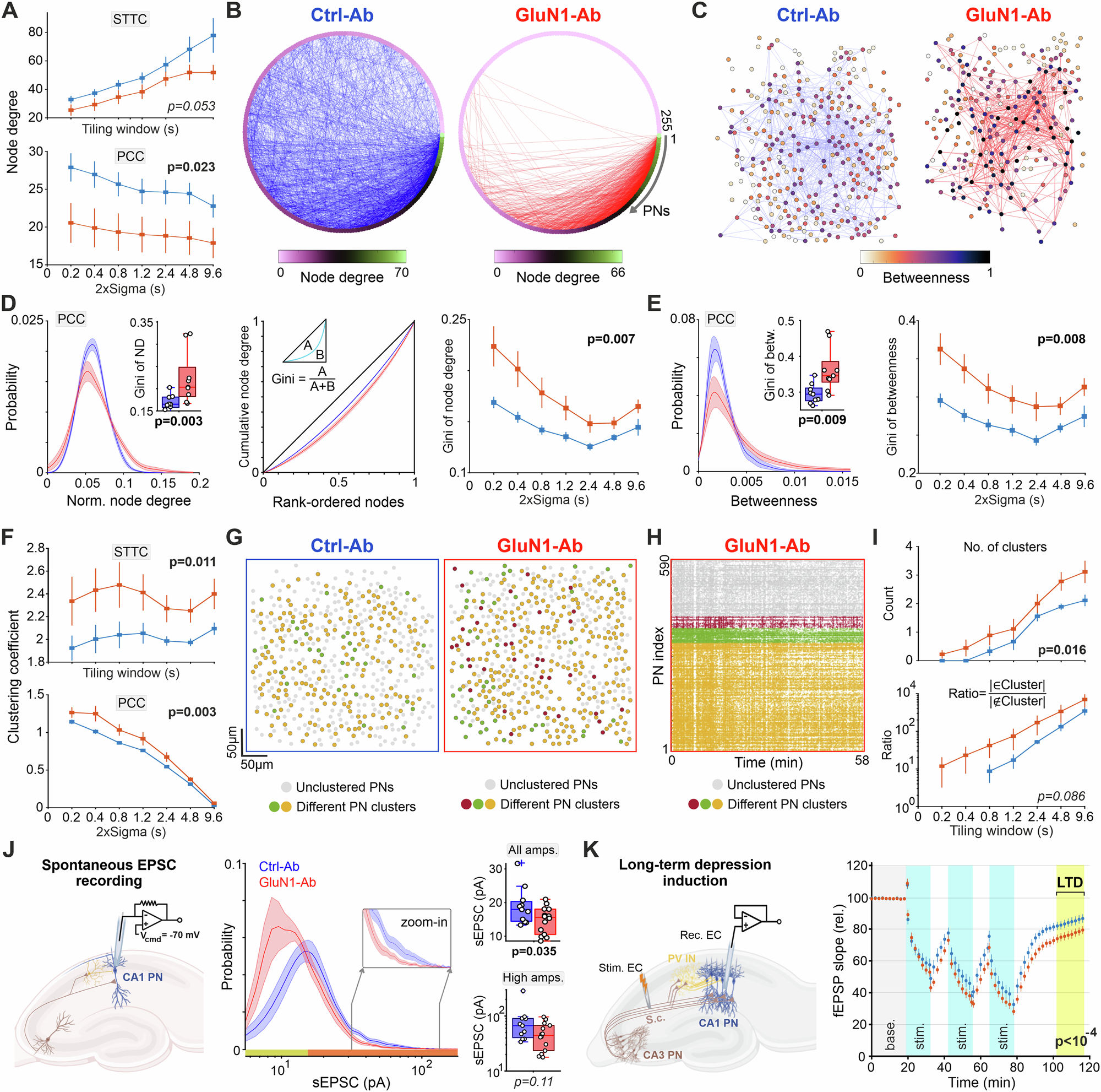 Fig. 3: Aberrant functional rewiring and neuronal ensembles alongside globally reduced connectivity links in CA1-network under GluN1-Ab.
