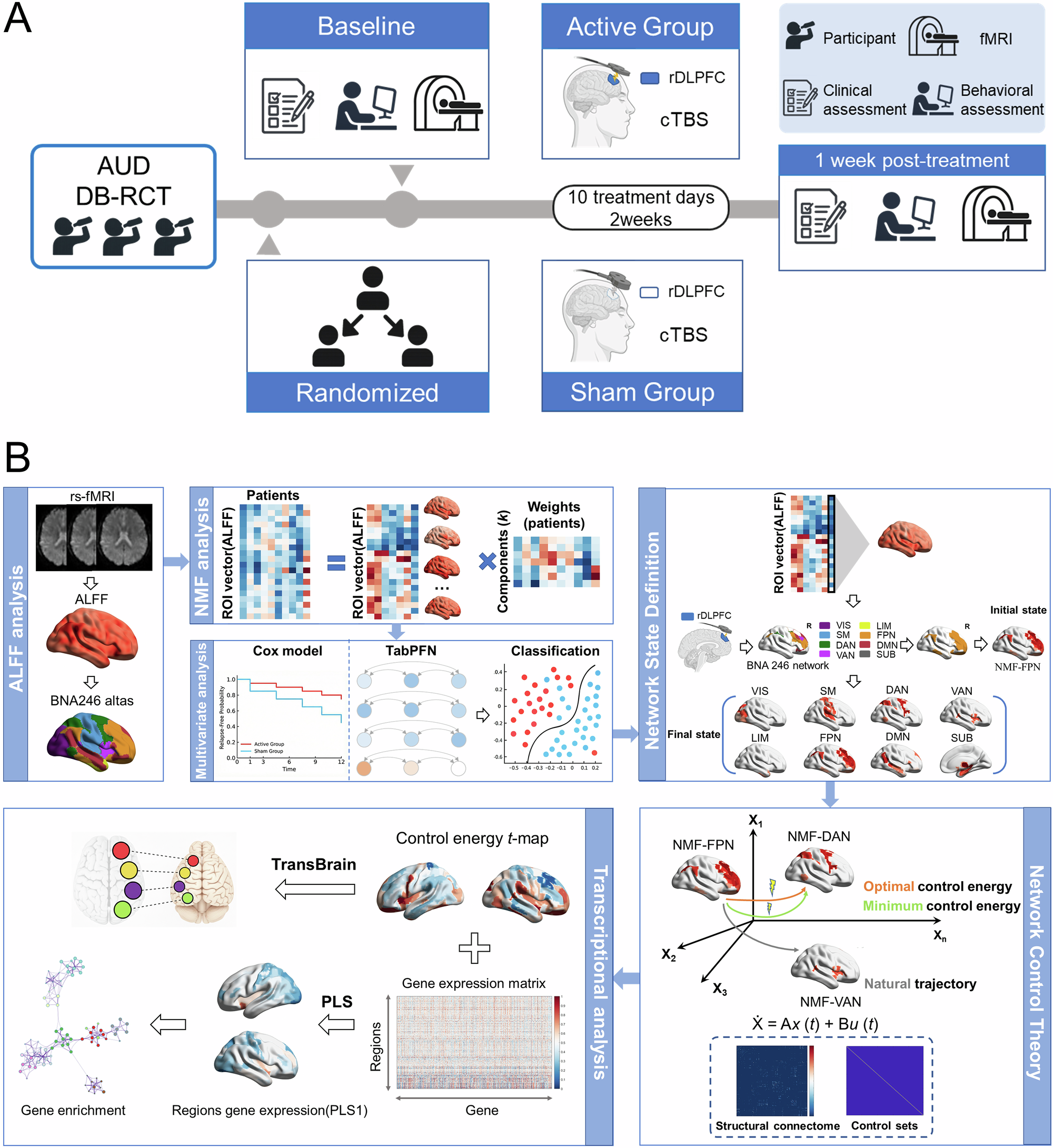 Optimizing brain functional–structural architecture with cTBS to reduce relapse in alcohol use disorder: a randomized controlled trial