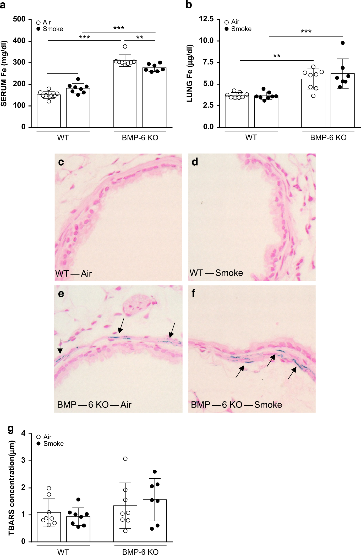 Fig. 8