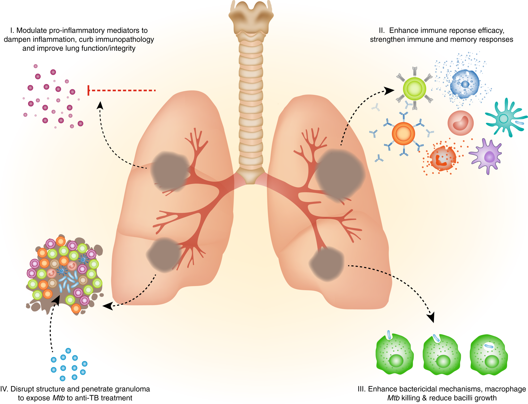 Therapeutic host-directed strategies to improve outcome in