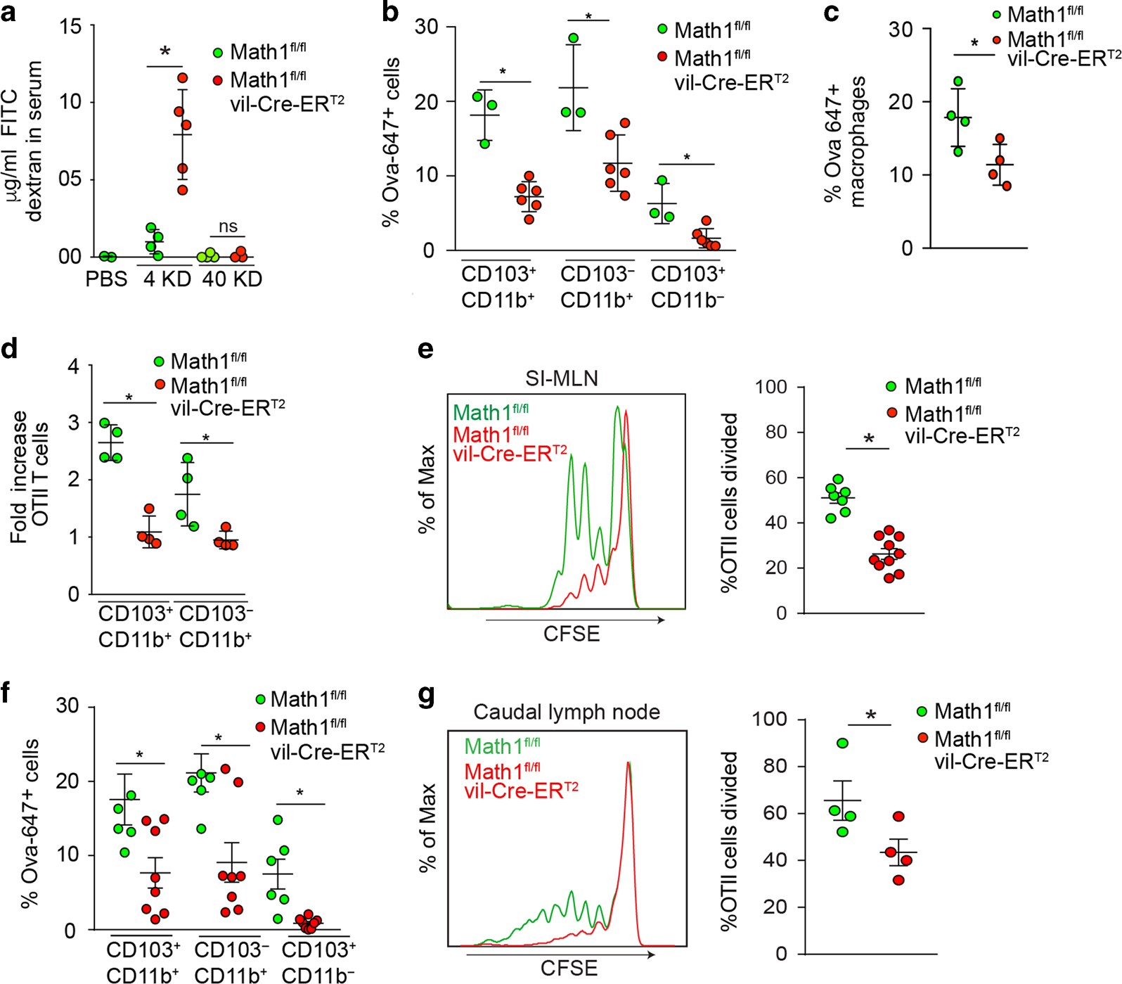 Fig. 2: Goblet cells support antigen presenting cell acquisition of luminal antigen and CD4+ T cell responses to luminal antigen in the gut draining lymph nodes.