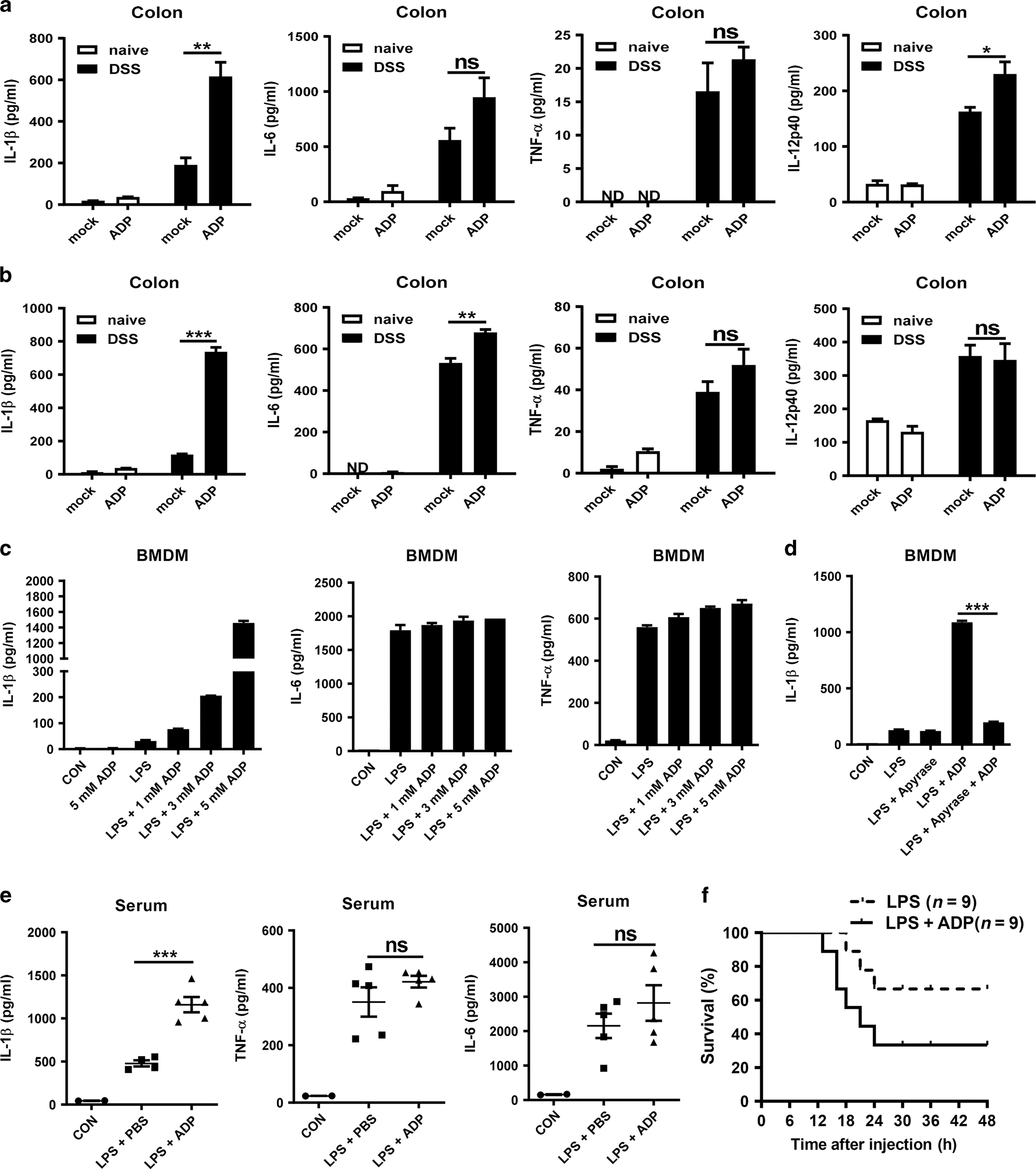 Fig. 2: ADP facilitated colon production of IL-1β.