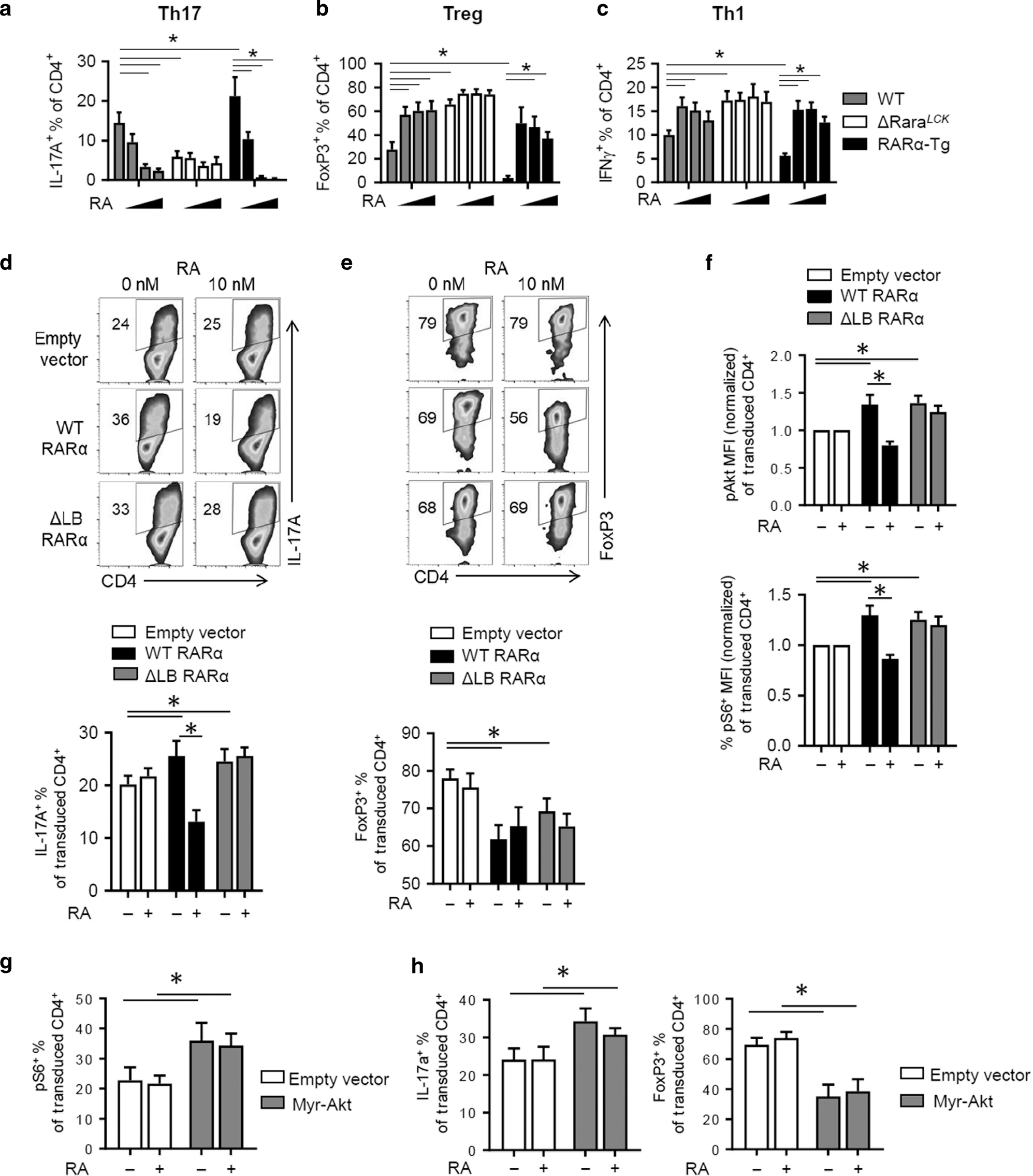 Fig. 6: Gain and loss of function effects of RARα on T cell differentiation and Akt/mTOR activity.