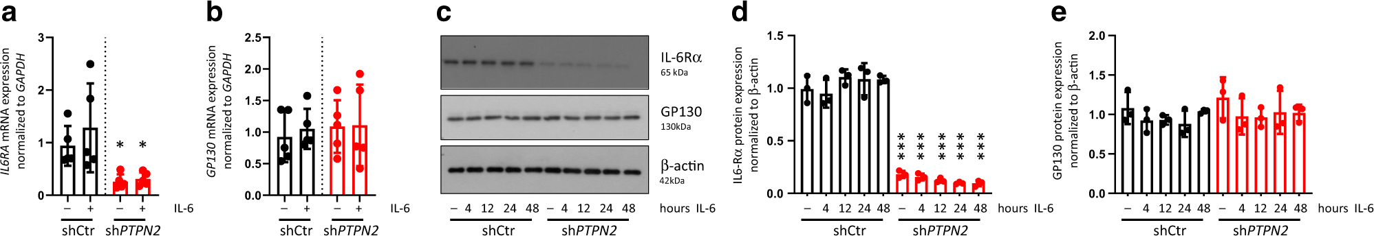 Fig. 2: Reduced IL-6Rα expression in PTPN2-knockdown macrophages.