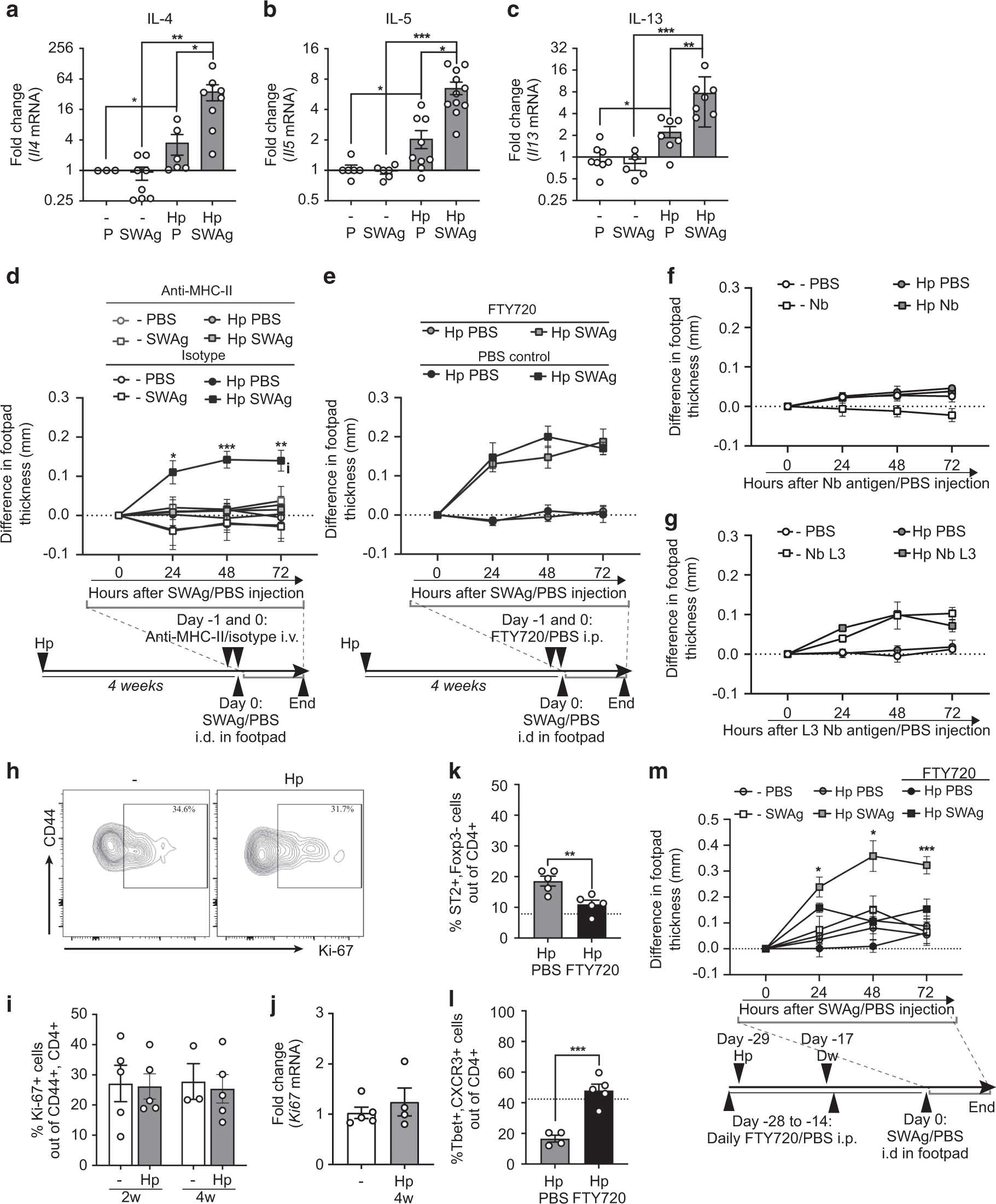 Fig. 5: Skin CD4+ T cells display antigen-specific responses to H. polygyrus.