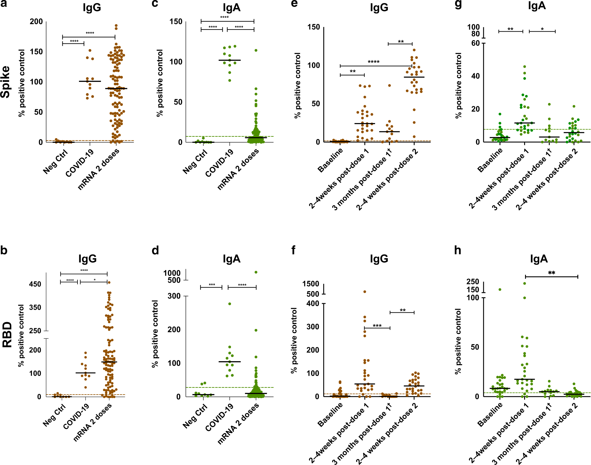 Fig. 1: Analysis of anti-Spike and anti-RBD antibodies in saliva from participants receiving COVID-19 mRNA vaccines.
