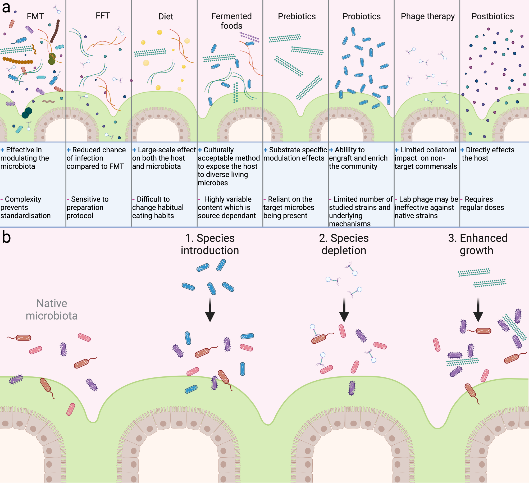 The structure, properties and potential probiotic properties of  starch-pectin blend: A review - ScienceDirect