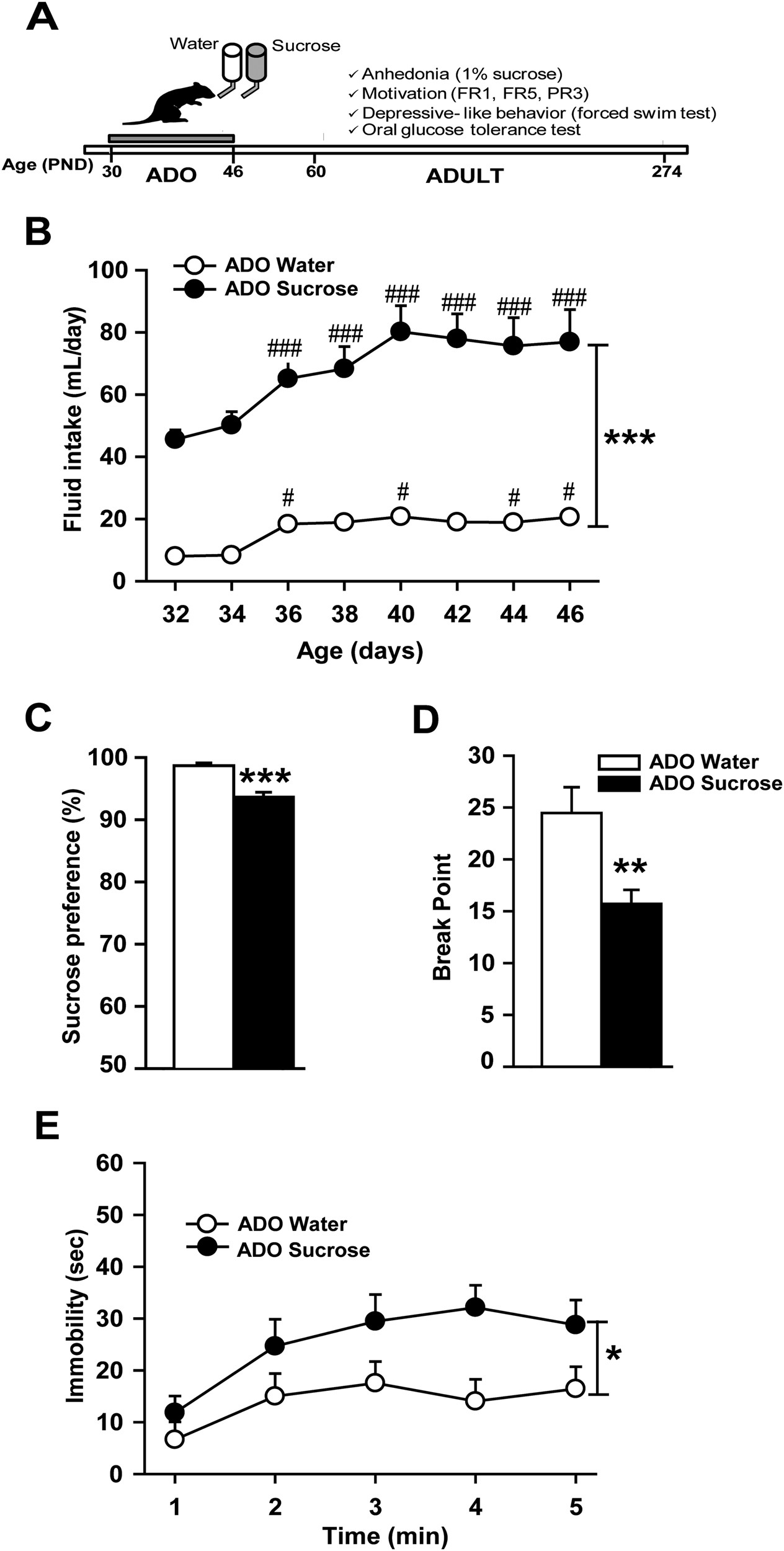 High Fructose Diet In Adolescence May >> Unlimited Sucrose Consumption During Adolescence Generates A High Fructose Diet In Adolescence May >> Unlimited Sucrose Consumption During Adolescence Generates A