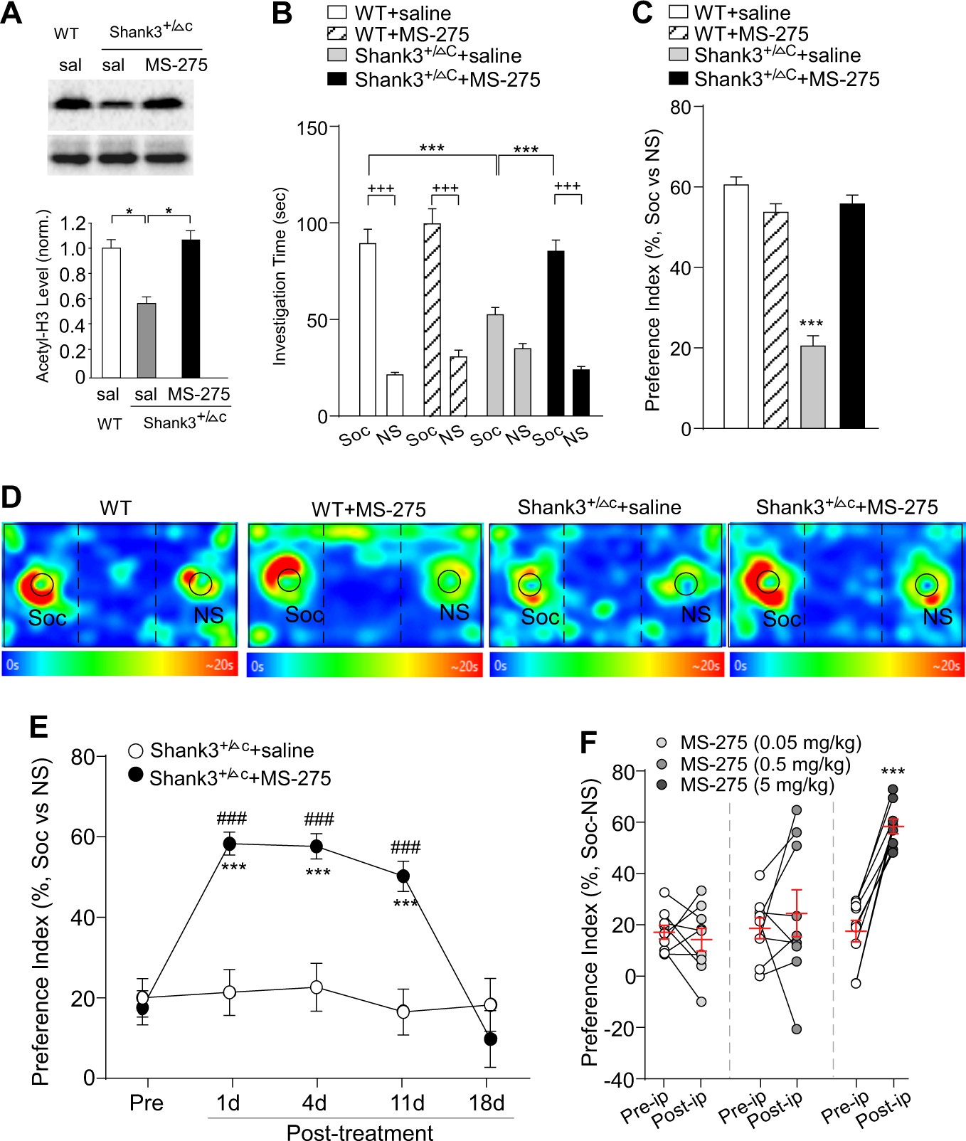 Autism Therapy Social Behavior Restored >> Histone Deacetylase Inhibitor Ms 275 Restores Social And Synaptic Autism Therapy Social Behavior Restored >> Histone Deacetylase Inhibitor Ms 275 Restores Social And Synaptic