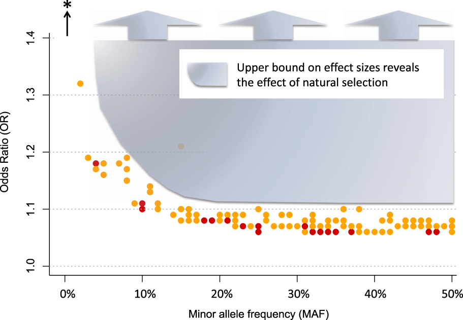 Discovery Of The First Genome Wide Significant Risk Loci For Attention >> How Genome Wide Association Studies Gwas Made Traditional Discovery Of The First Genome Wide Significant Risk Loci For Attention >> How Genome Wide Association Studies Gwas Made Traditional