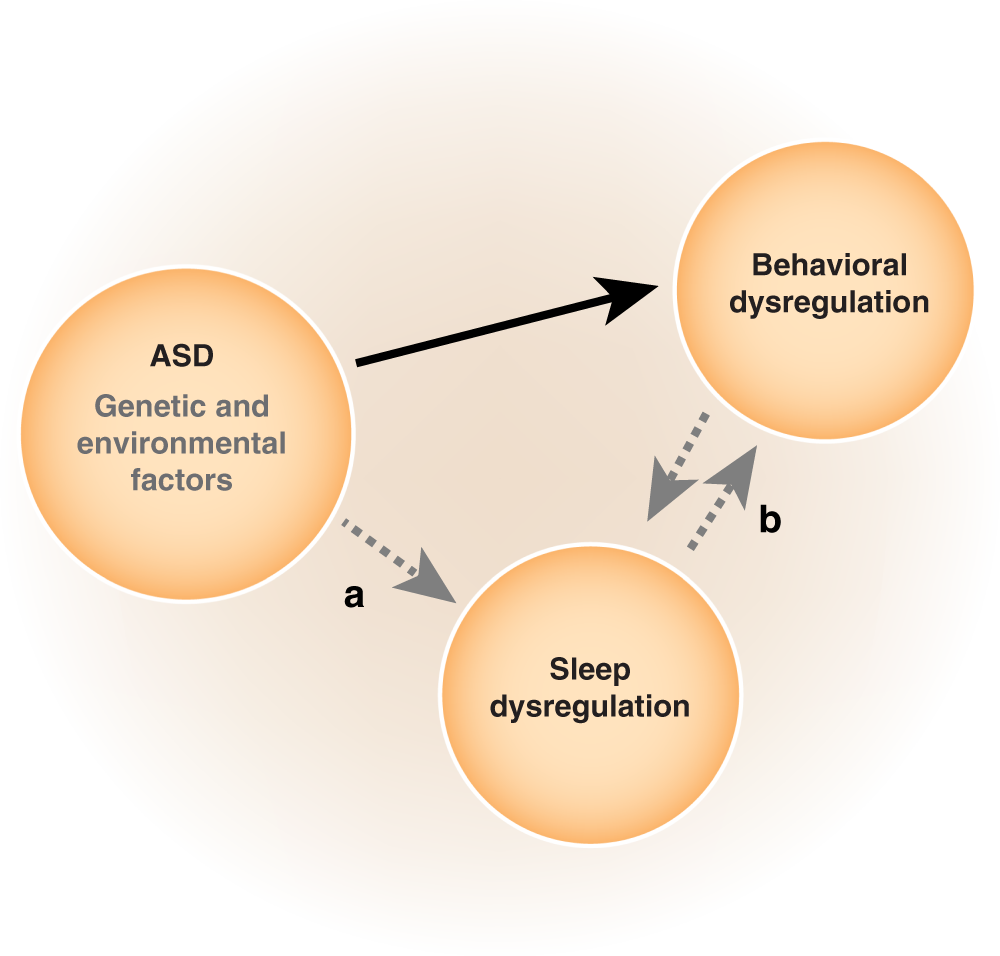 Sleep as a translationally-relevant endpoint in studies of autism spectrum  disorder (ASD) | Neuropsychopharmacology
