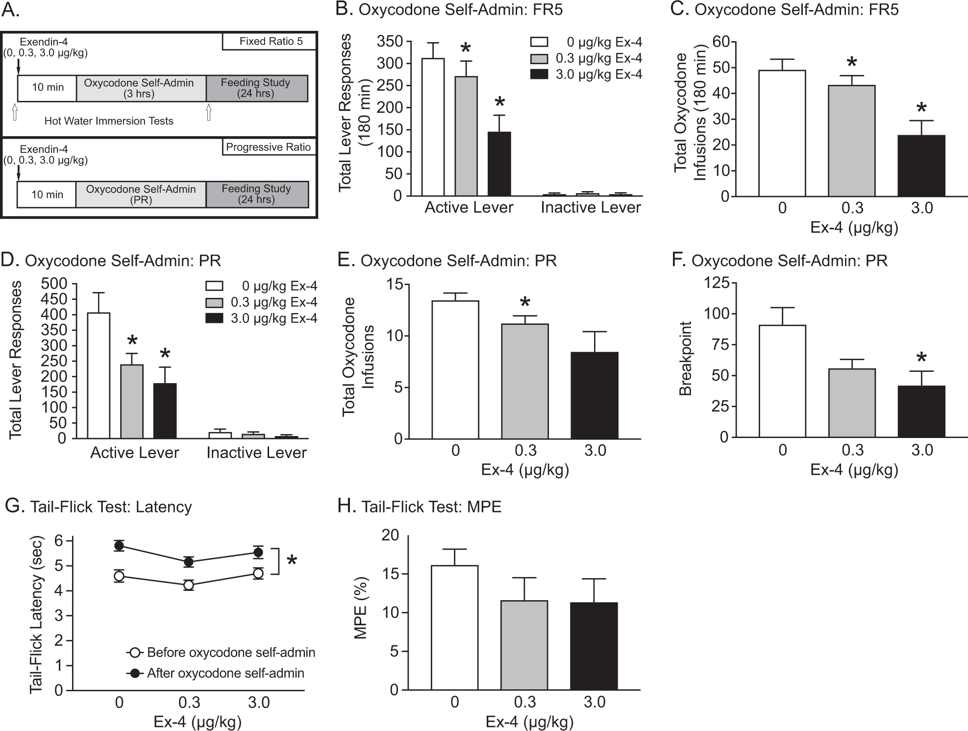 semaglutide and oxycodone Activation of GLP-1 receptors attenuates oxycodone taking and seeking  without compromising the antinociceptive effects of oxycodone in rats