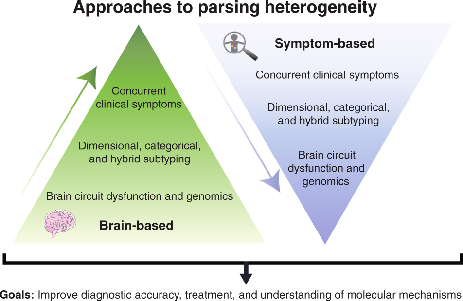 Polygenic heterogeneity in antidepressant treatment and placebo response