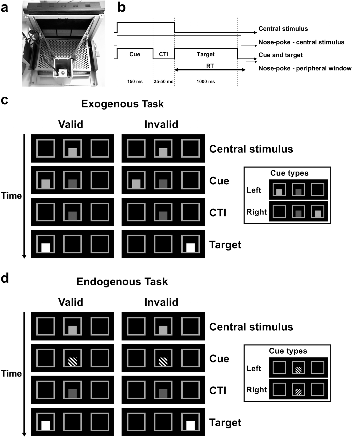 Experimental paradigm of Posner's task.