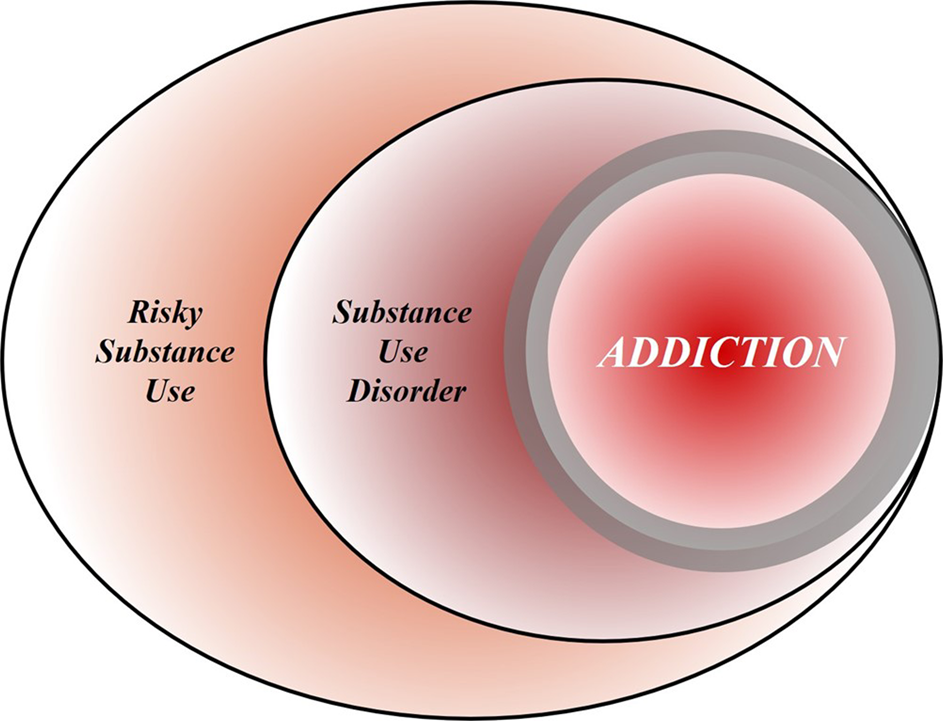 models of conceptualizing addiction