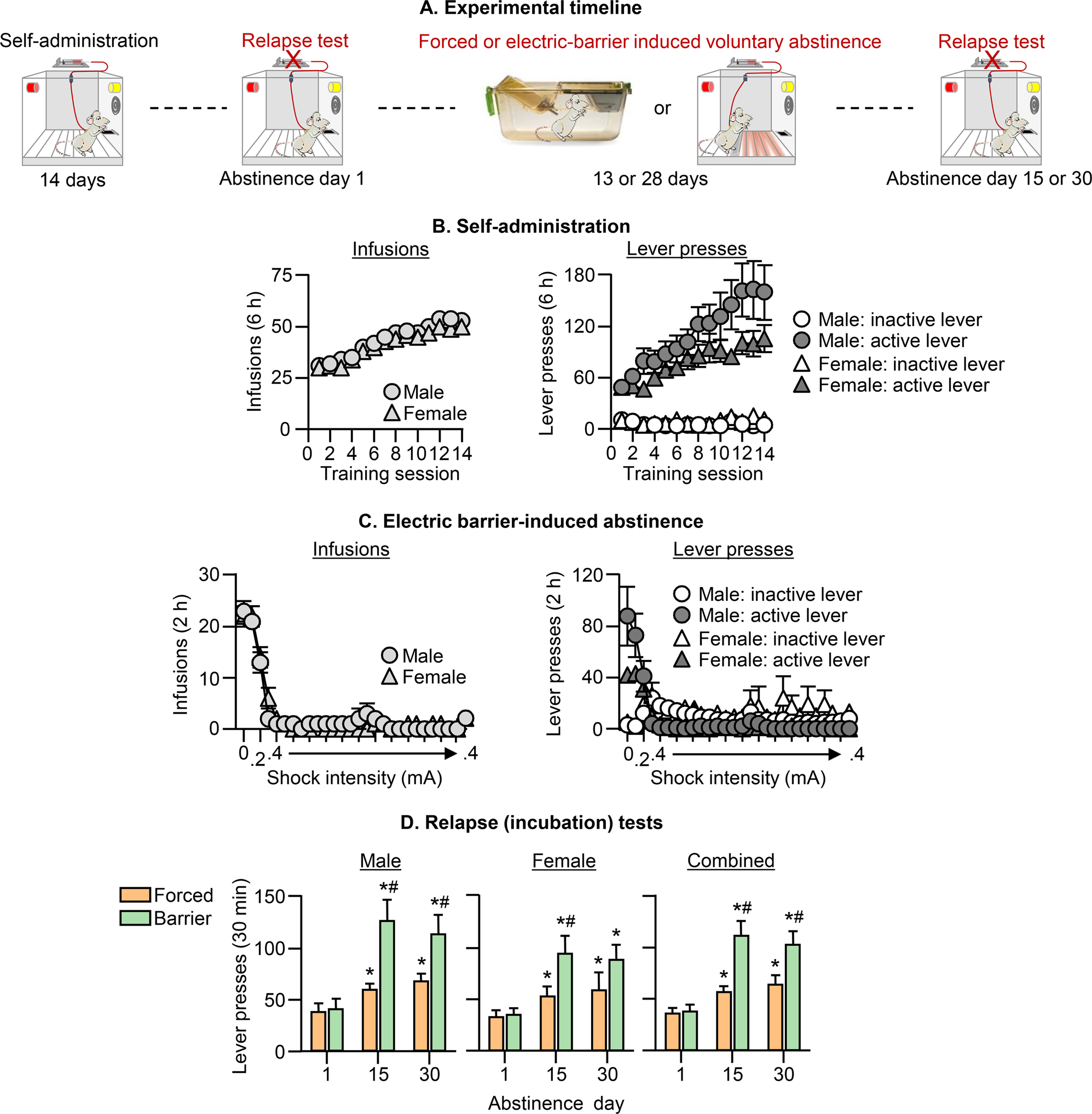 https://media.springernature.com/full/springer-static/image/art%3A10.1038%2Fs41386-020-0602-6/MediaObjects/41386_2020_602_Fig1_HTML.png