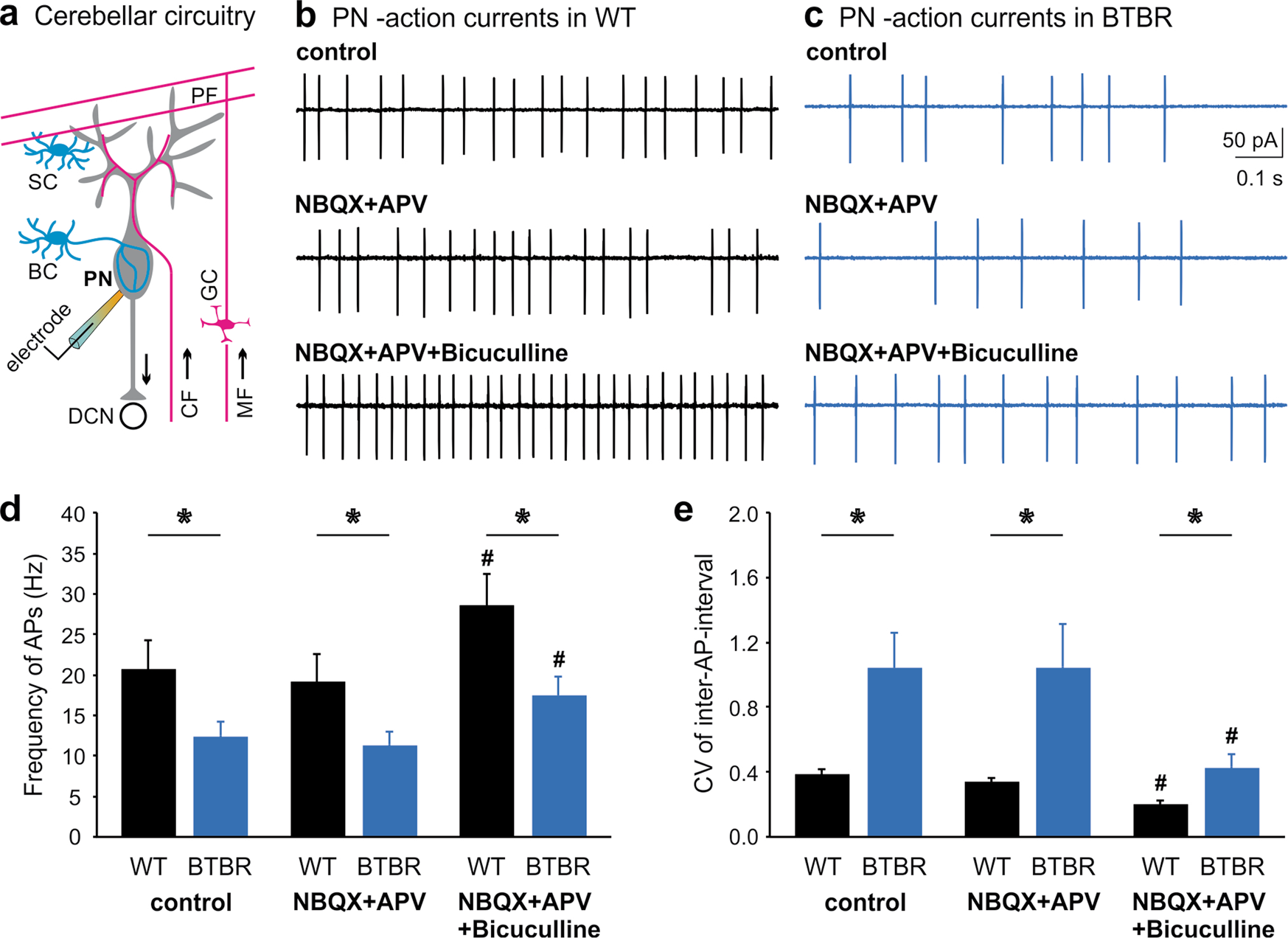 Targeting inhibitory cerebellar circuitry to alleviate behavioral deficits  in a mouse model for studying idiopathic autism | Neuropsychopharmacology