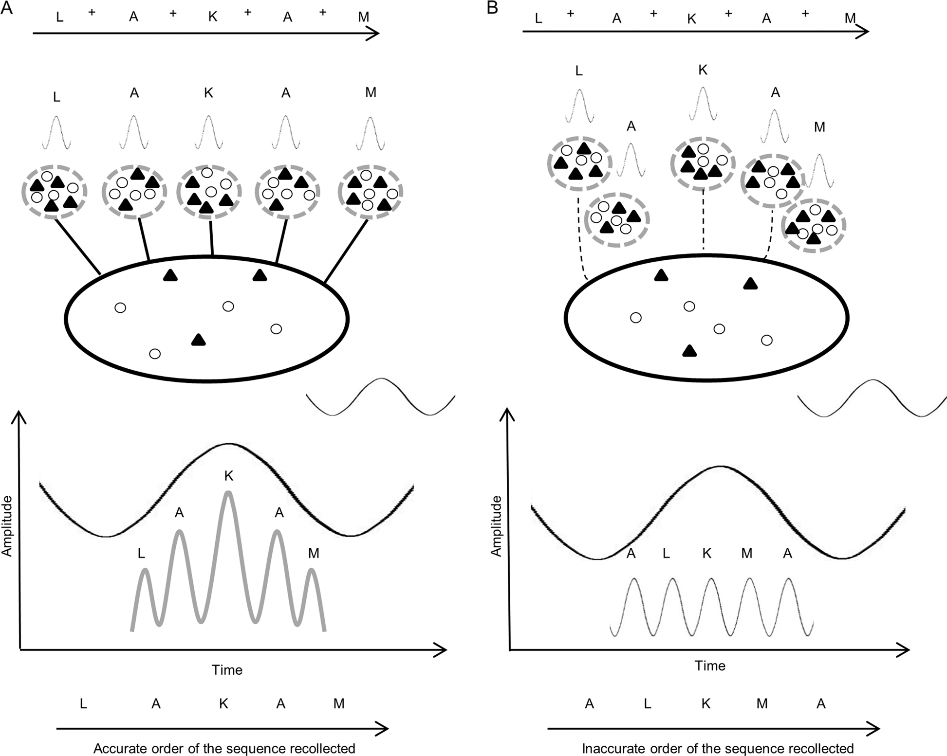 Theta–gamma coupling and ordering information: a stable brain–behavior  relationship across cognitive tasks and clinical conditions |  Neuropsychopharmacology
