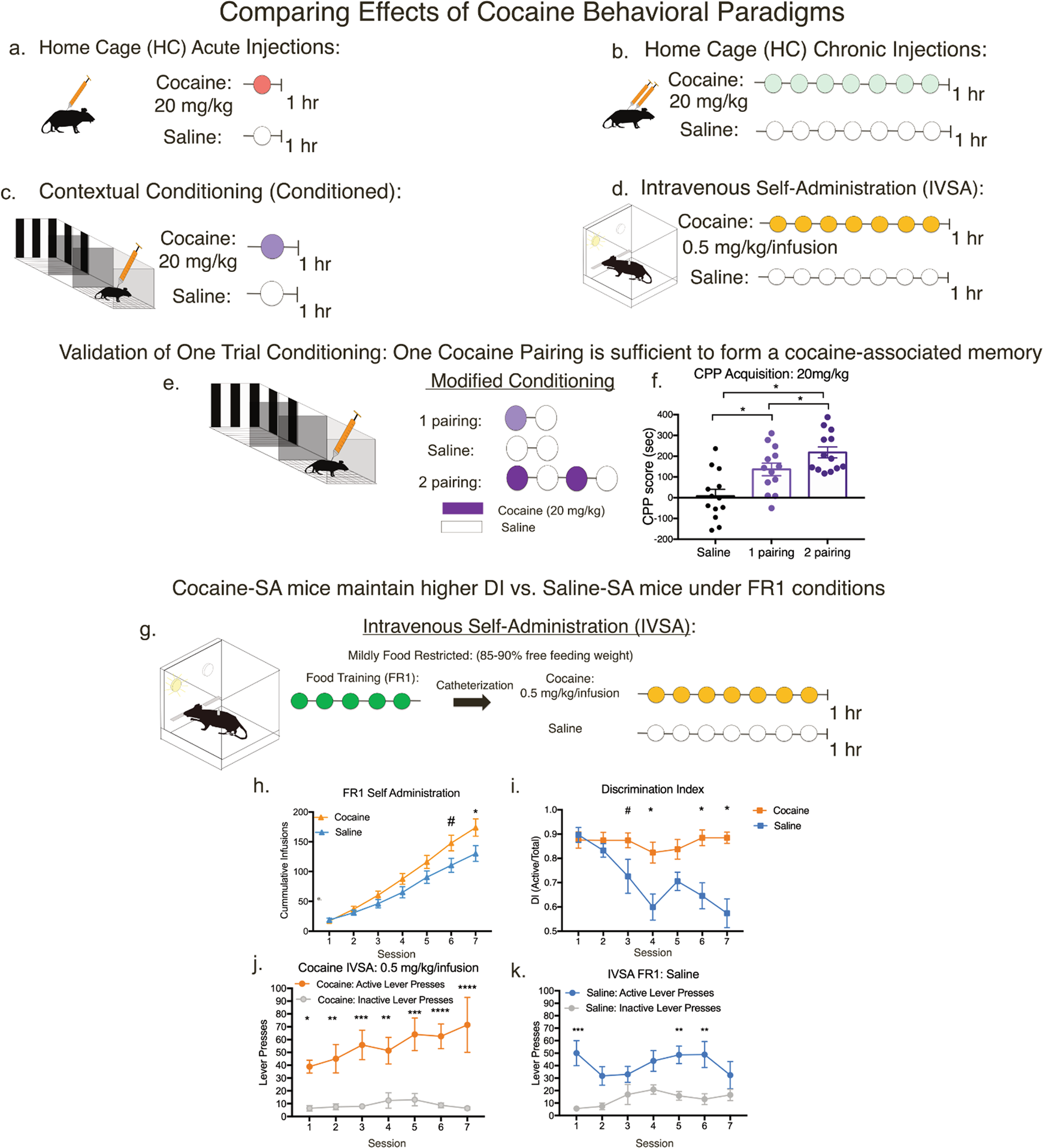 Cocaine induces paradigm-specific changes to the transcriptome within the ventral tegmental area Neuropsychopharmacology