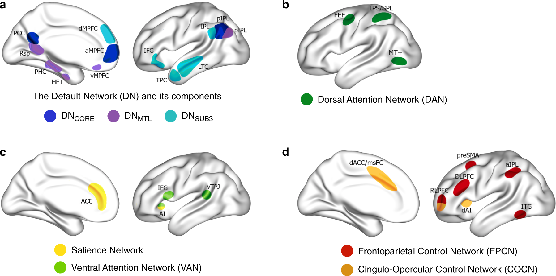 Video activation of prefrontal cortex in a consuming person during