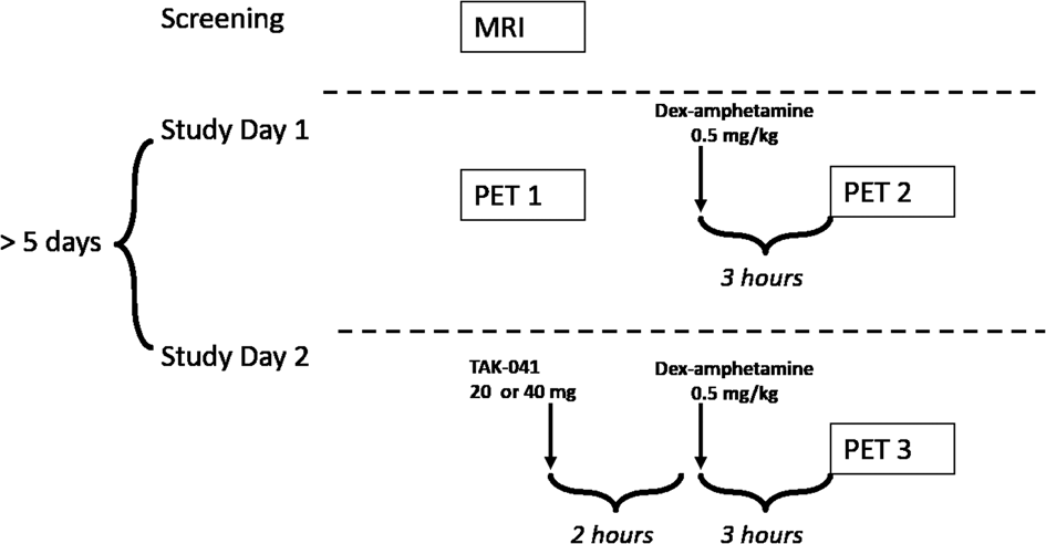Fig. 1: Schematic of study design.