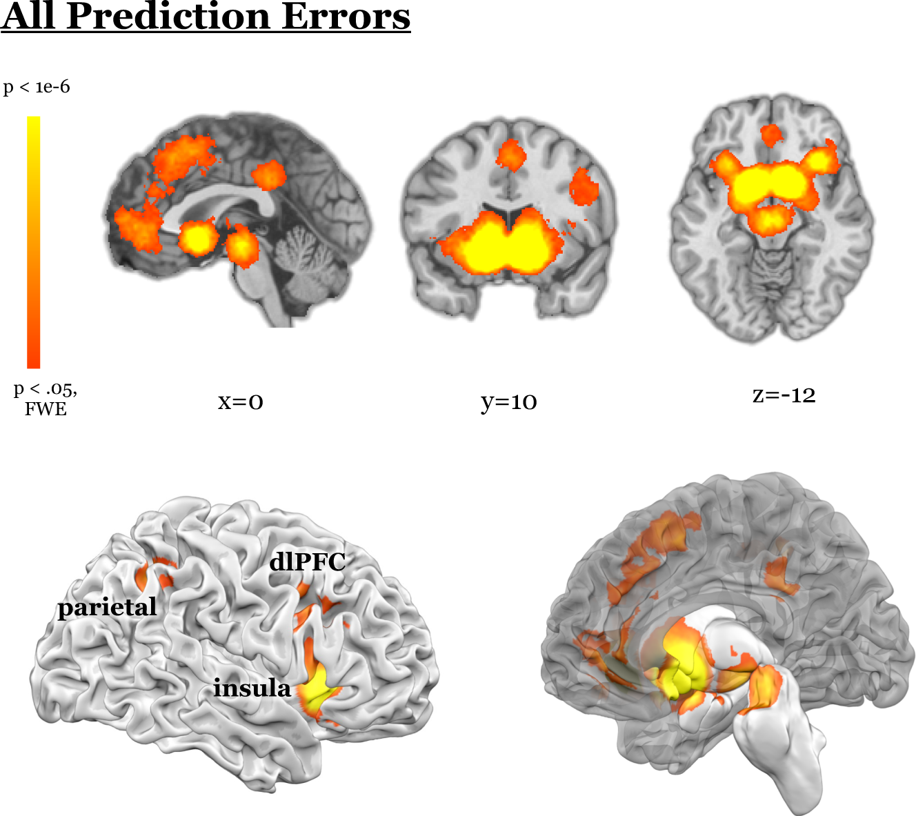 Meta-analysis of human prediction error for incentives, perception,  cognition, and action | Neuropsychopharmacology