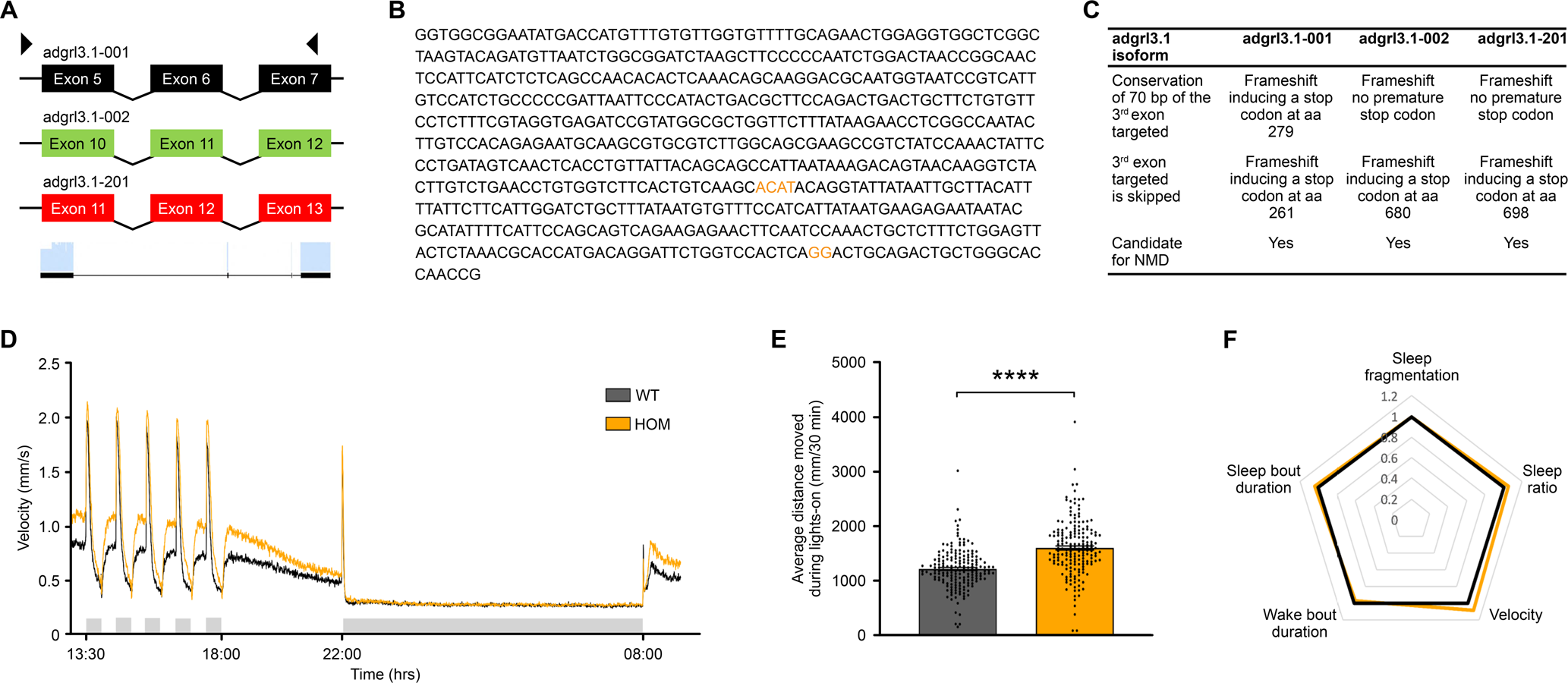 Fig. 1: CRISPR-Cas9 mutagenesis and behavioral parameters of adgrl3.1−/− larvae.