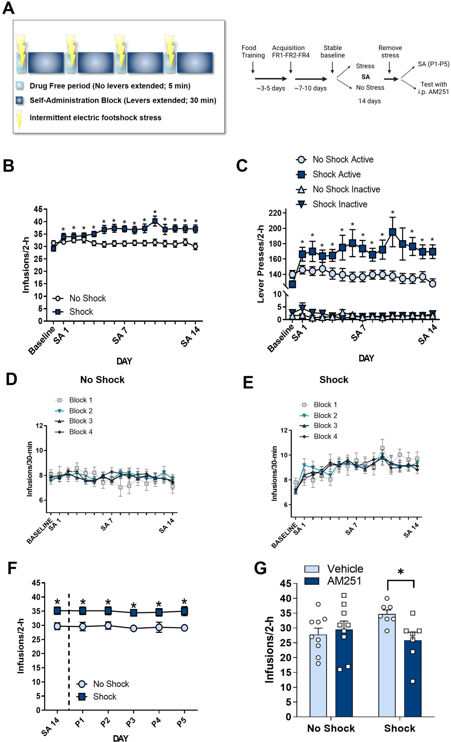 Role of mesolimbic cannabinoid receptor 1 in stress-driven increases in  cocaine self-administration in male rats | Neuropsychopharmacology