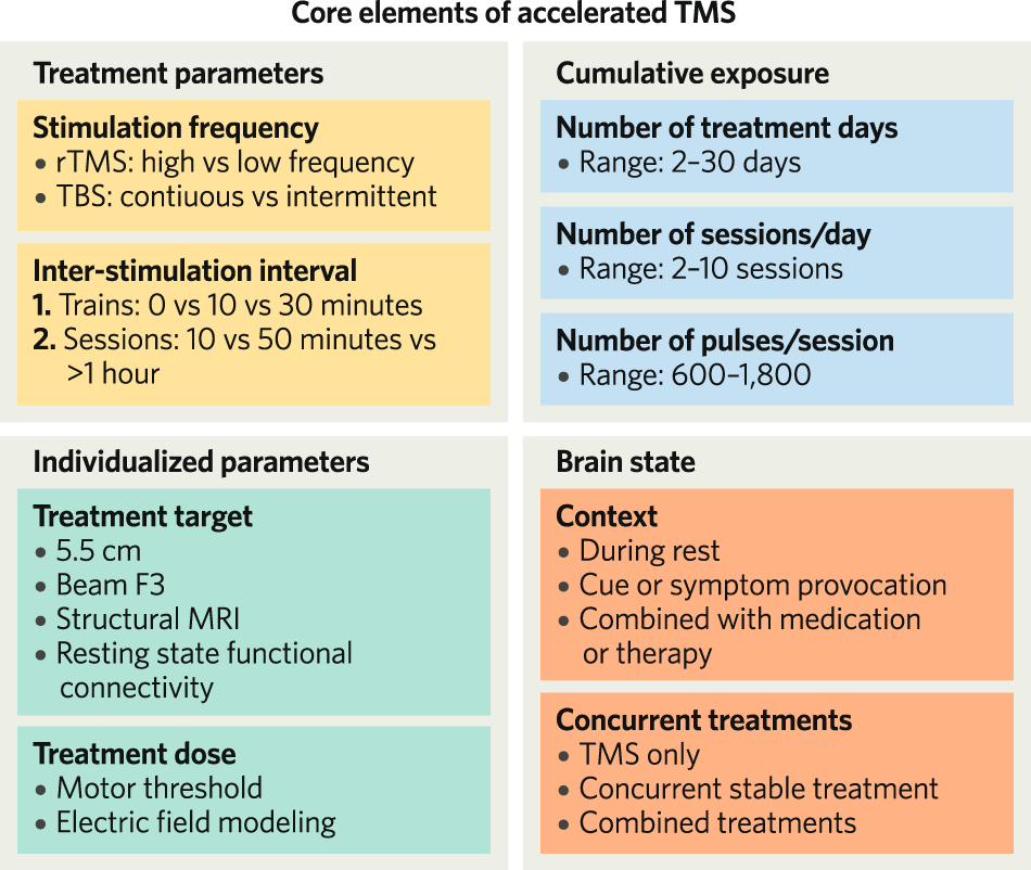 Accelerated TMS - moving quickly into the future of depression treatment |  Neuropsychopharmacology