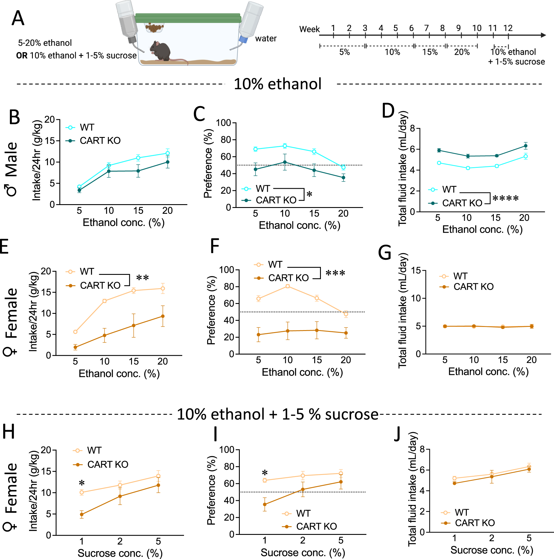 Fig. 2: CART KO reduces ethanol consumption and preference in female mice that can be elevated via sucrose supplementation.