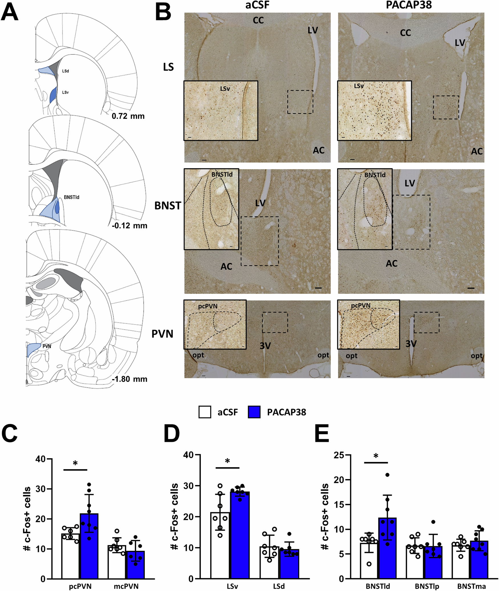 Fig. 2: Effects of ICV PACAP38 administration on swim stress-induced c-Fos expression in selected brain regions.