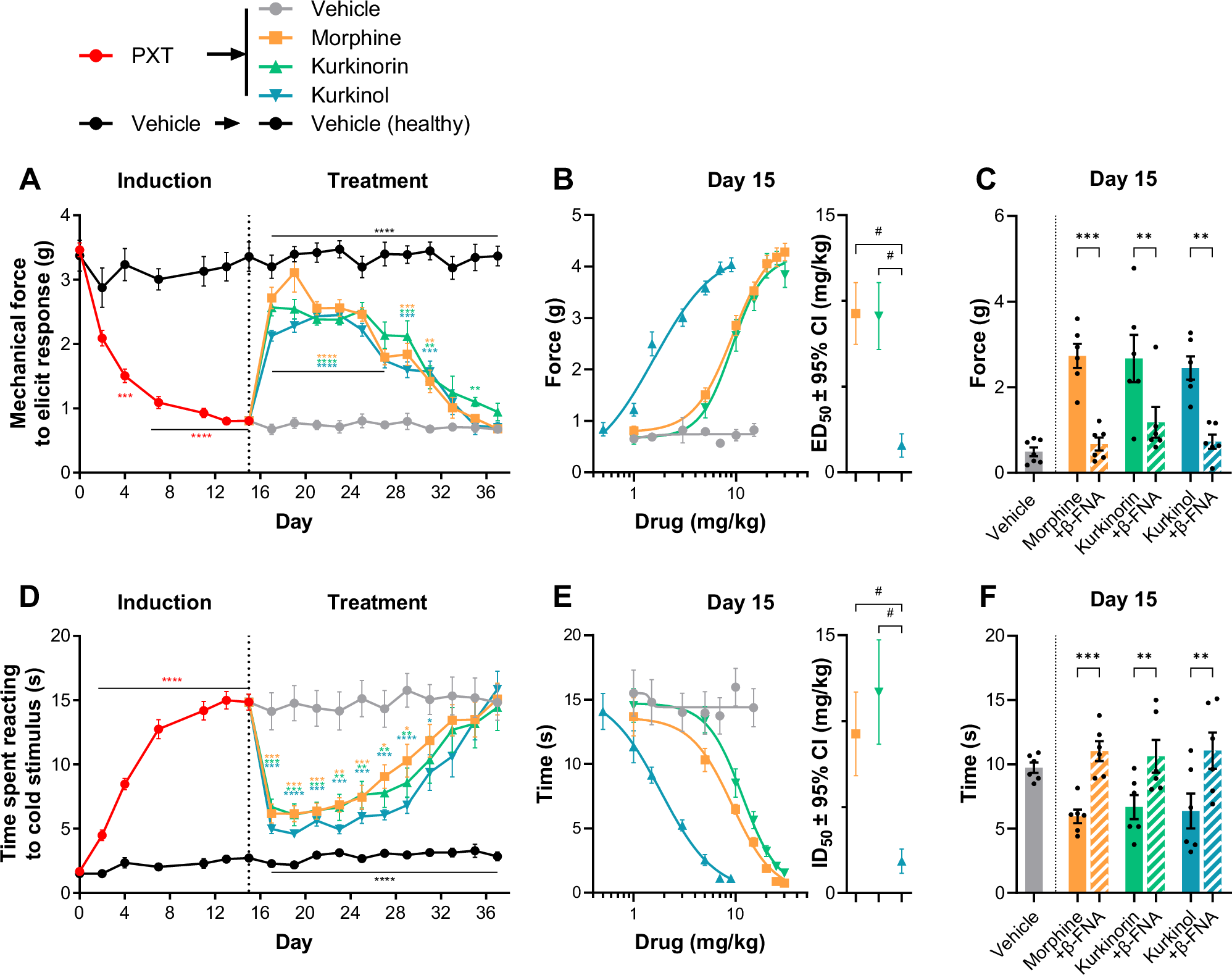 Fig. 2: Morphine, kurkinorin, and kurkinol all similarly reverse paclitaxel-induced allodynia in a MOR-dependent manner but show significant tolerance with repeated treatment.