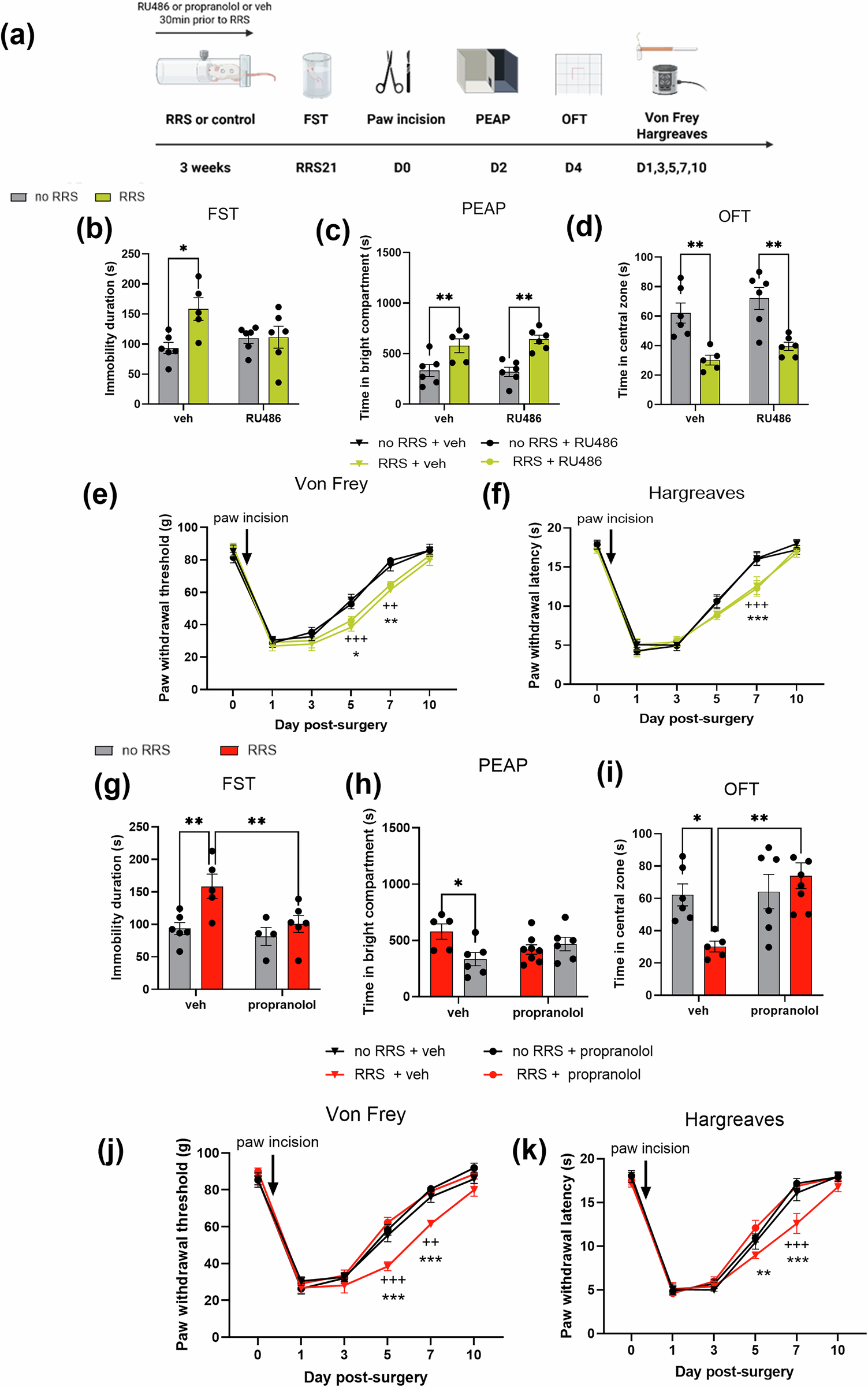 Fig. 5: Chronic propranolol, but not RU486, attenuates RRS-induced exacerbation of post-surgical hypersensitivity, pain-related aversion and anxiety behaviour.