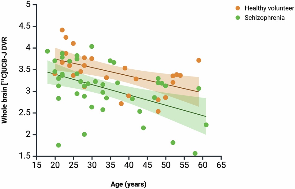 Fig. 3: Association between whole brain grey matter [11C]UCB-J DVR and age.