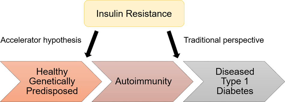[True insulin allergy? Lessons from a case of suspected insulin allergy]