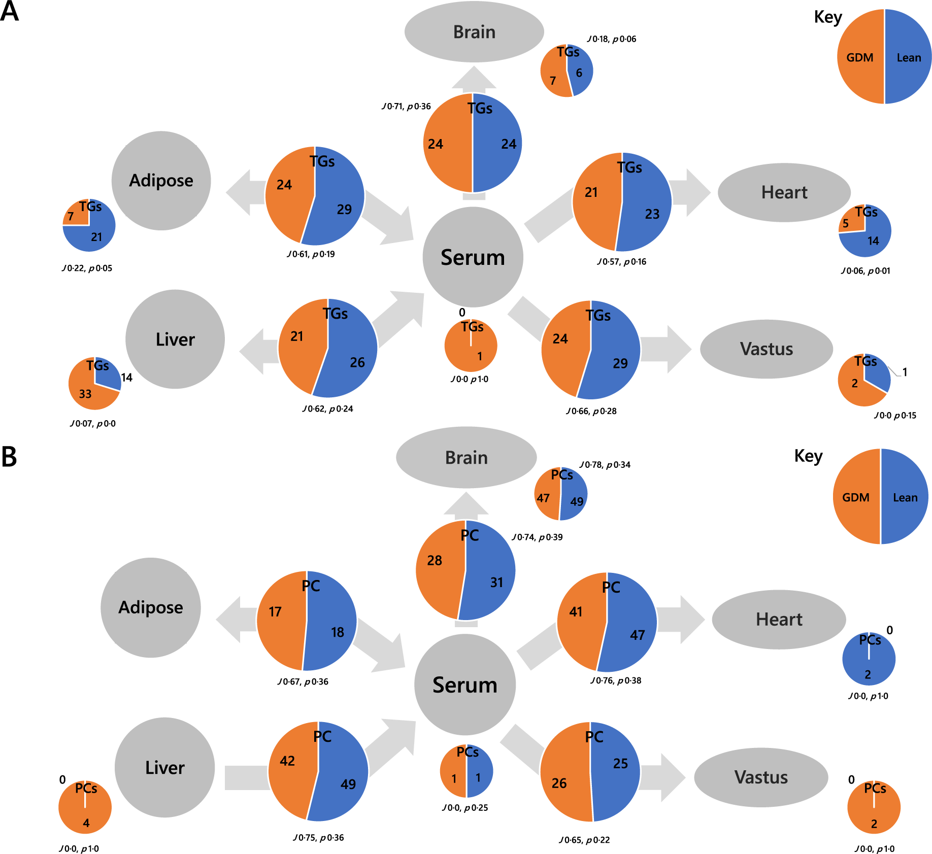 Fig. 5: Switch analysis of the tissue network used in the present study.