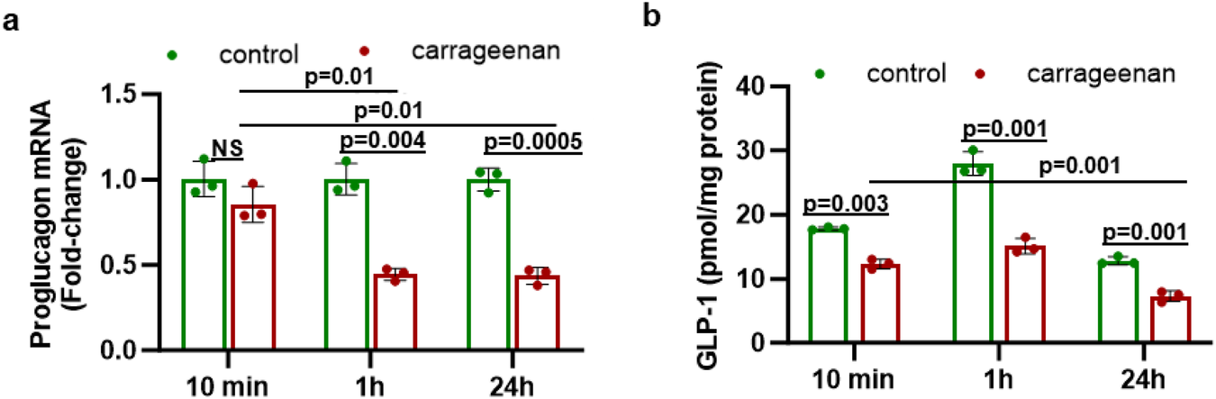 carrageenan and glp 1 Common food additive carrageenan inhibits proglucagon expression and GLP-1  secretion by human enteroendocrine L-cells