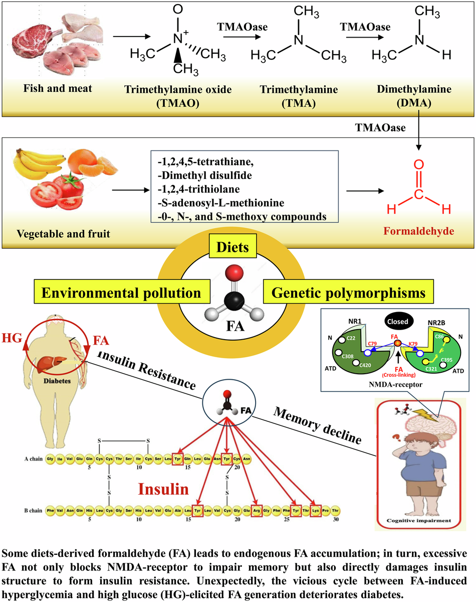 l carnitine during pms Acetyl-L-Carnitine and restoring missing periods