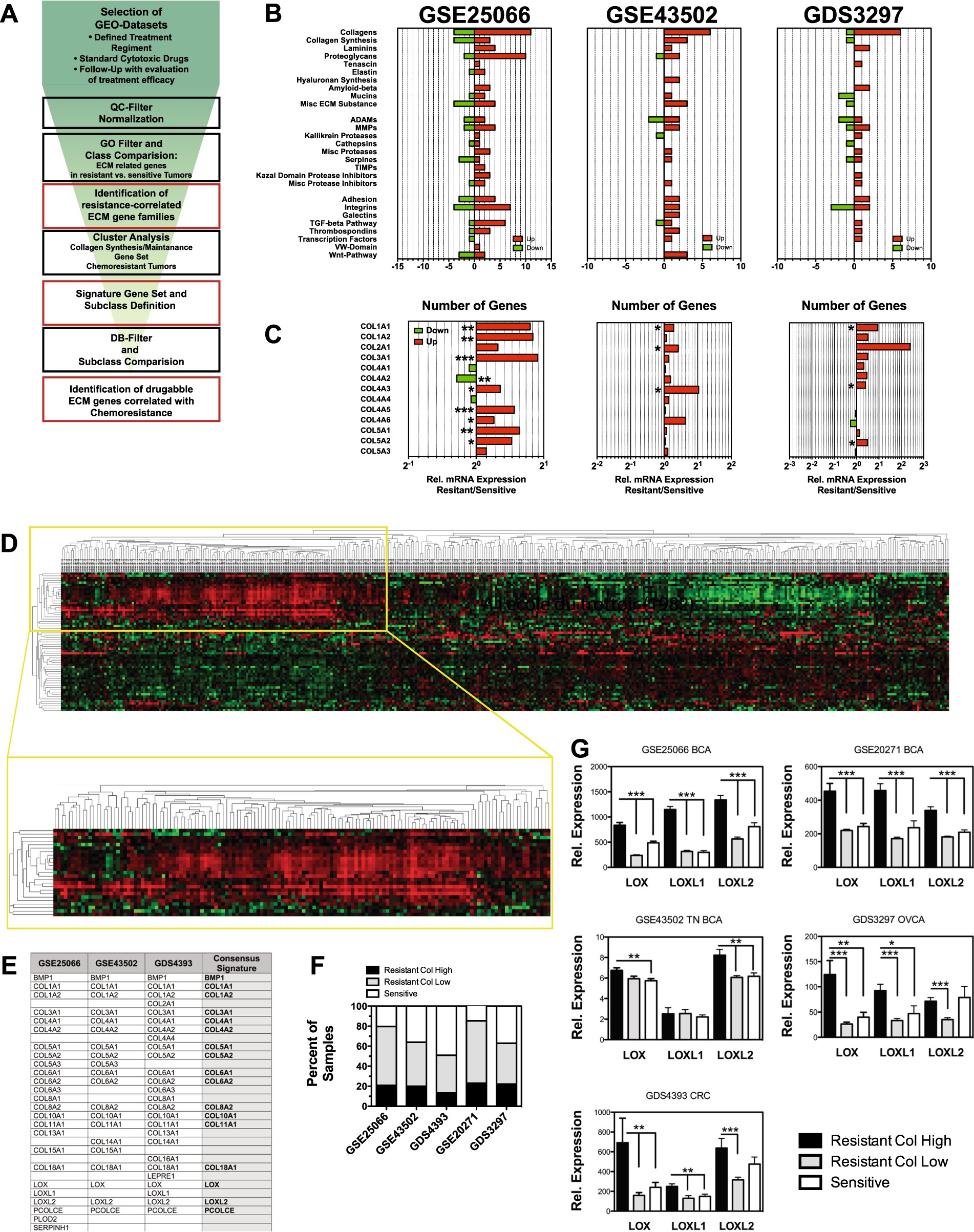 Lox Catalyzed Collagen Stabilization Is A Proximal Cause For Intrinsic Resistance Lox Catalyzed Collagen Stabilization Is A Proximal Cause For Intrinsic Resistance
