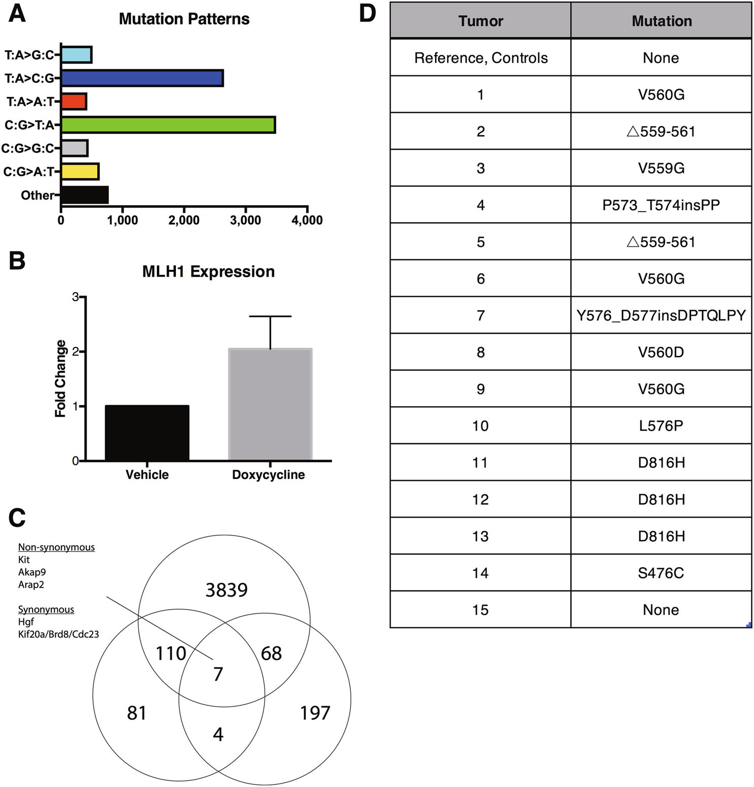 miR-155 drives oncogenesis by promoting and cooperating with mutations in  the c-Kit oncogene | Oncogene