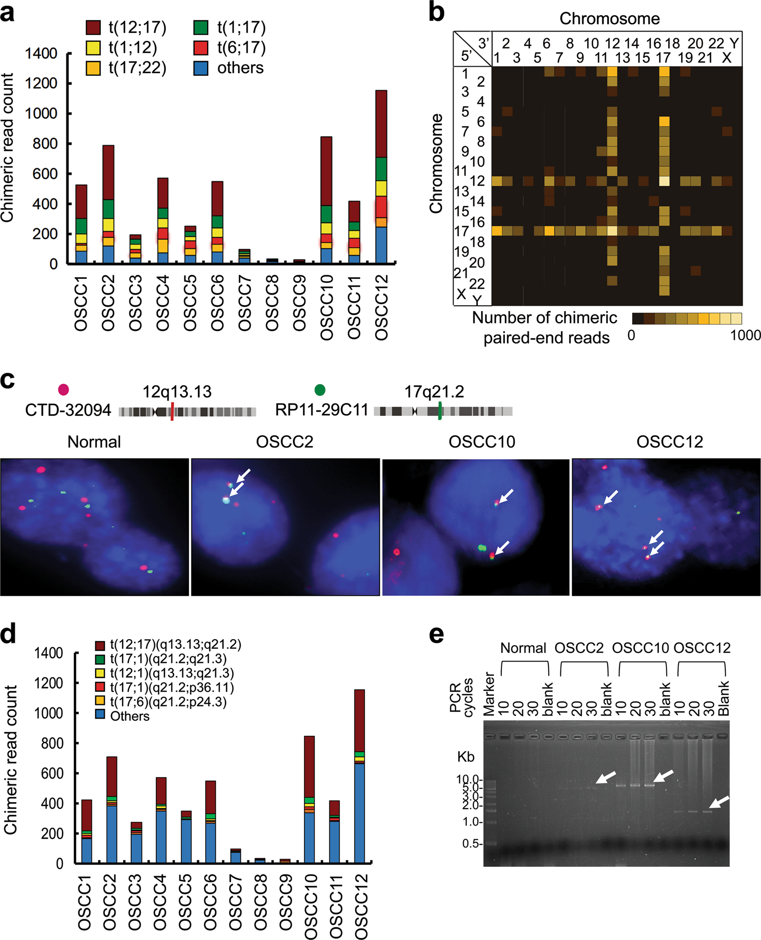 Novel K6 K14 Keratin Fusion Enhances Cancer Stemness And Aggressiveness In Oral Squamous Cell Carcinoma Oncogene<script async src=