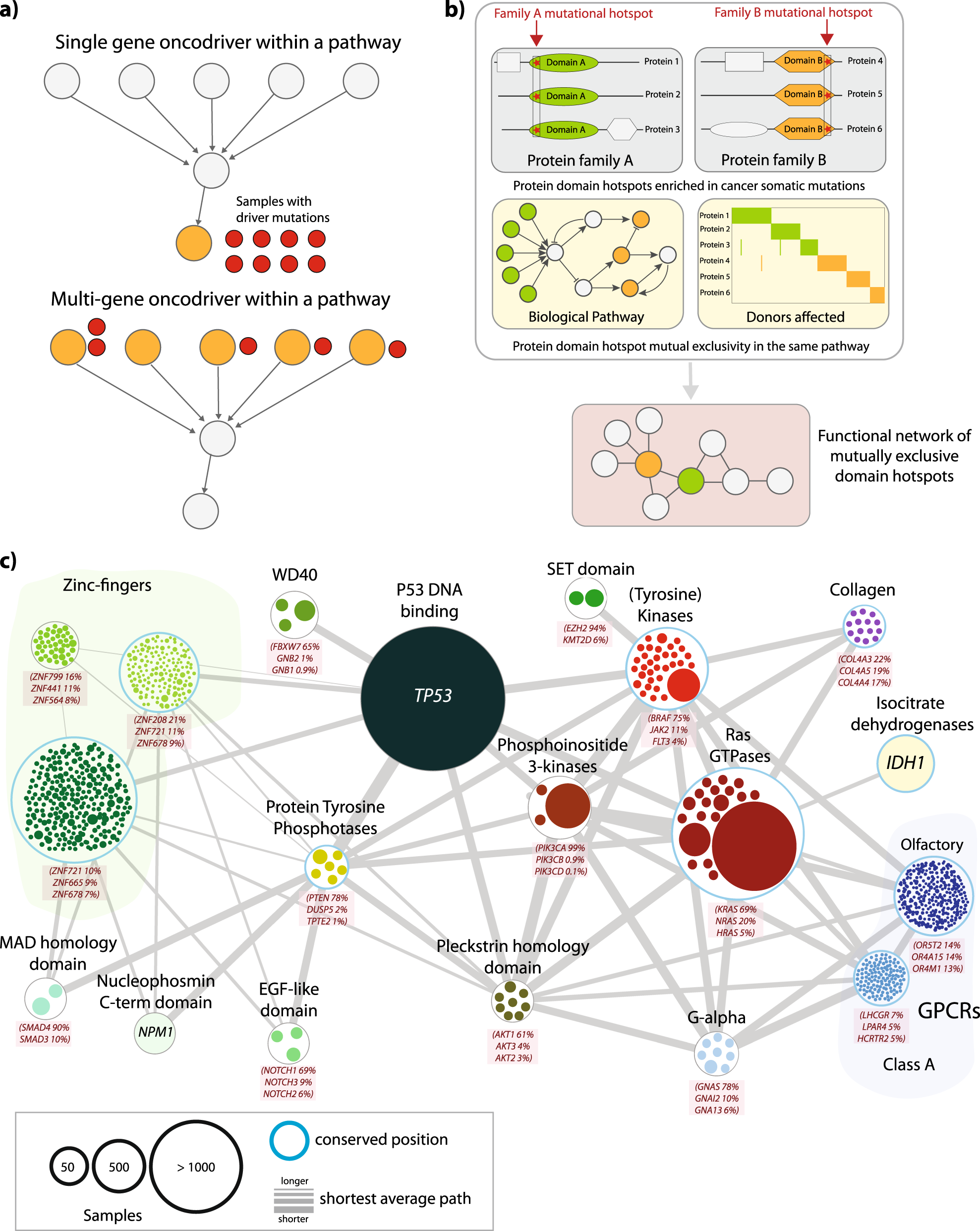Rare Functional Somatic Variants In Gene Families Linked To