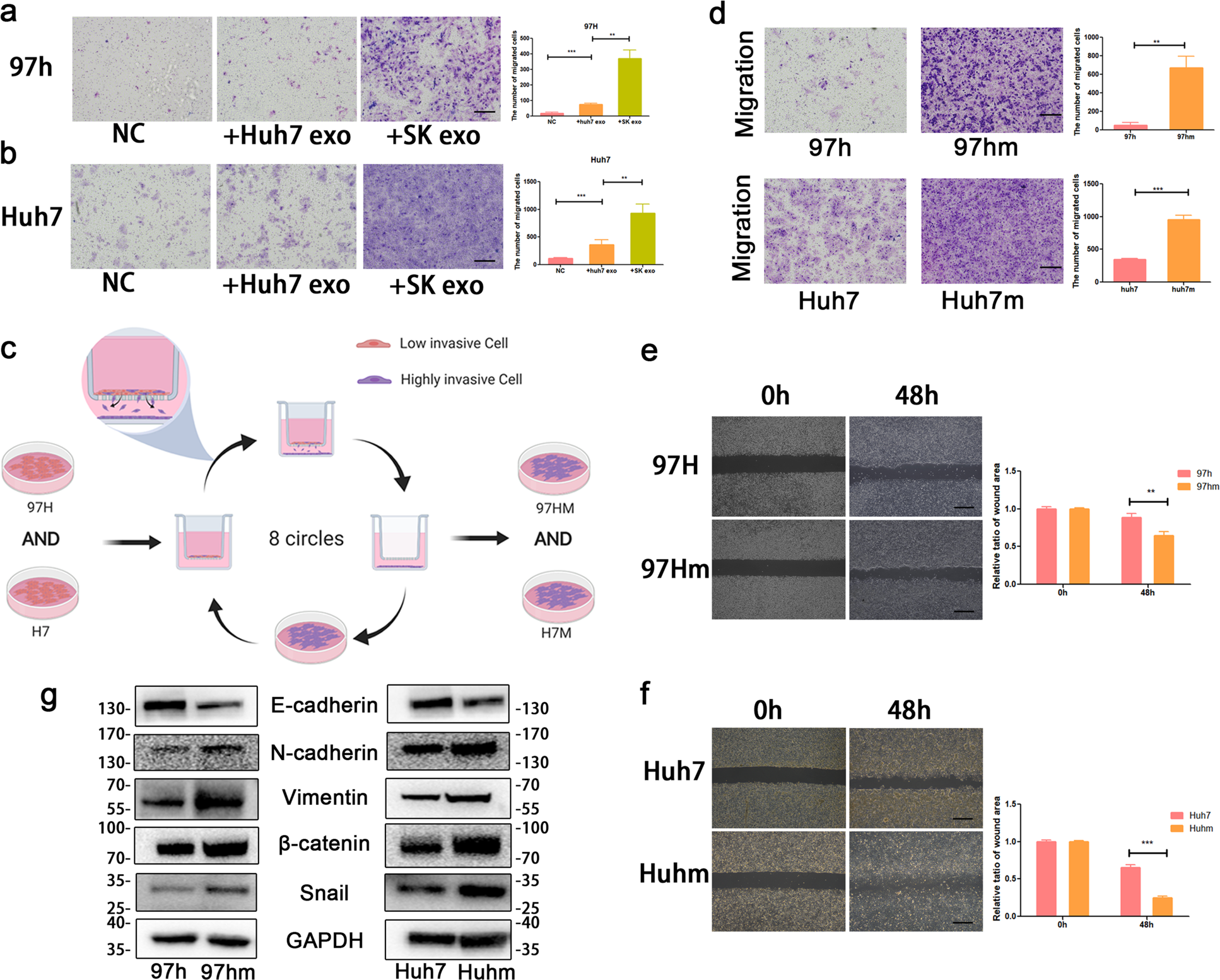 High Metastatic Cancer Cells Derived Exosomal Mir92a 3p Promotes Epithelial Mesenchymal Transition And Metastasis Of Low Metastatic Cancer Cells By Regulating Pten Akt Pathway In Hepatocellular Carcinoma Oncogene High Metastatic Cancer Cells Derived Exosomal Mir92a 3p Promotes Epithelial Mesenchymal Transition And Metastasis Of Low Metastatic Cancer Cells By Regulating Pten Akt Pathway In Hepatocellular Carcinoma Oncogene