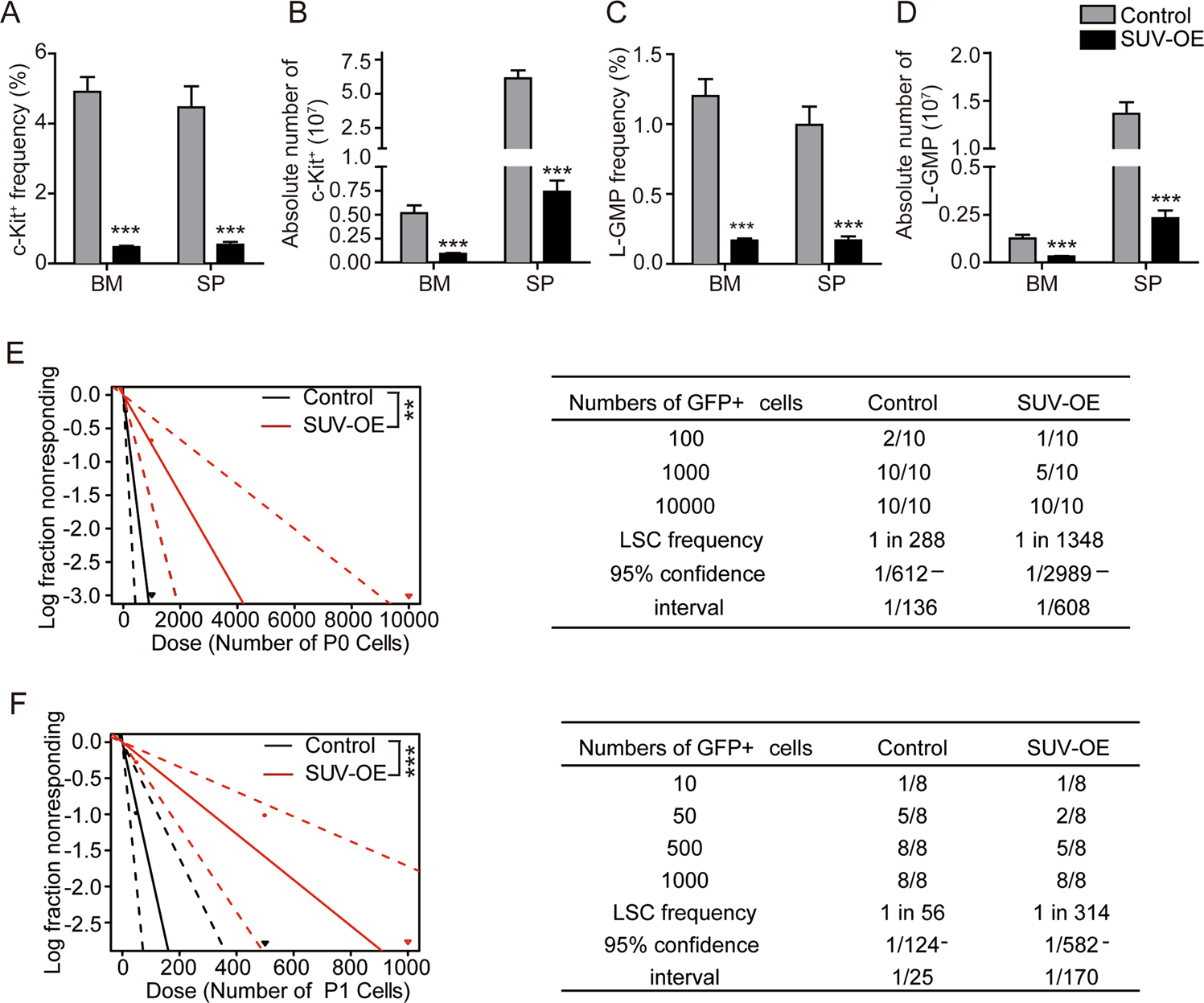 Fig. 3: SUV39H1 overexpression reduced the frequency of leukemia stem cells in MLL-AF9-induced murine AML.