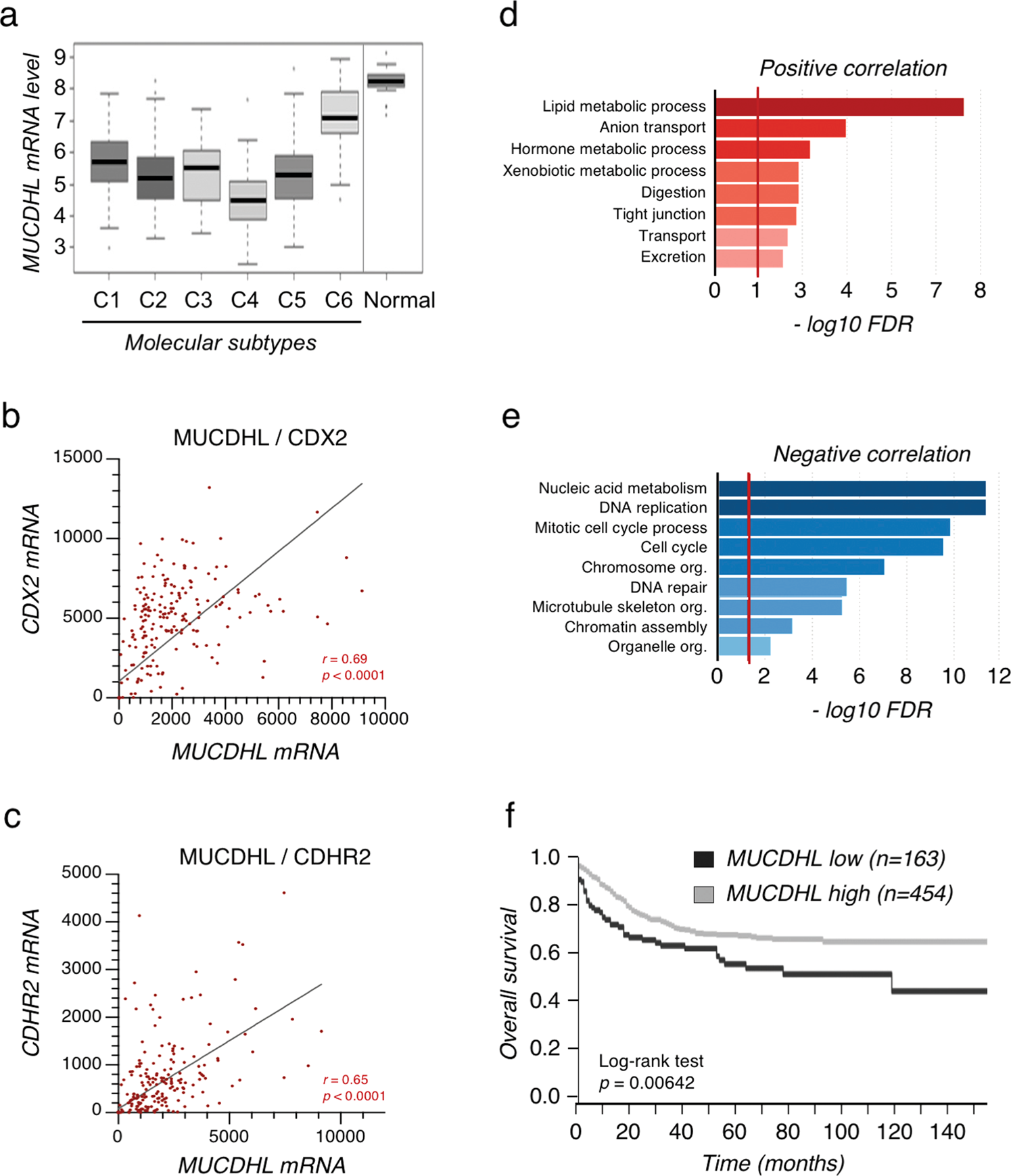 The Atypical Cadherin Mucdhl Antagonizes Colon Cancer Formation And Inhibits Oncogenic Signaling Through Multiple Mechanisms Oncogene The Atypical Cadherin Mucdhl Antagonizes Colon Cancer Formation And Inhibits Oncogenic Signaling Through Multiple Mechanisms Oncogene