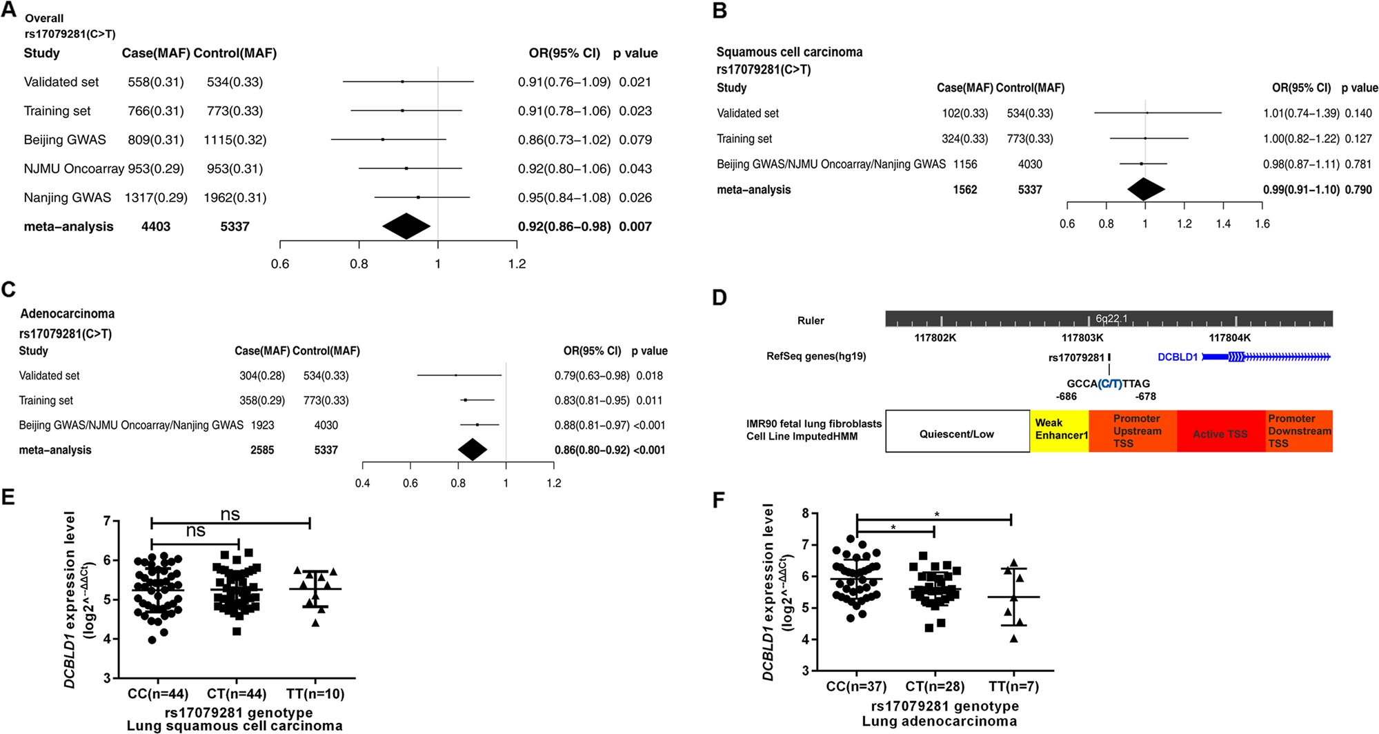 Fig. 1: Forest plot represented the association between SNPrs17079281 and the risk of lung cancer overall and by histologic types and eQTL analysis.